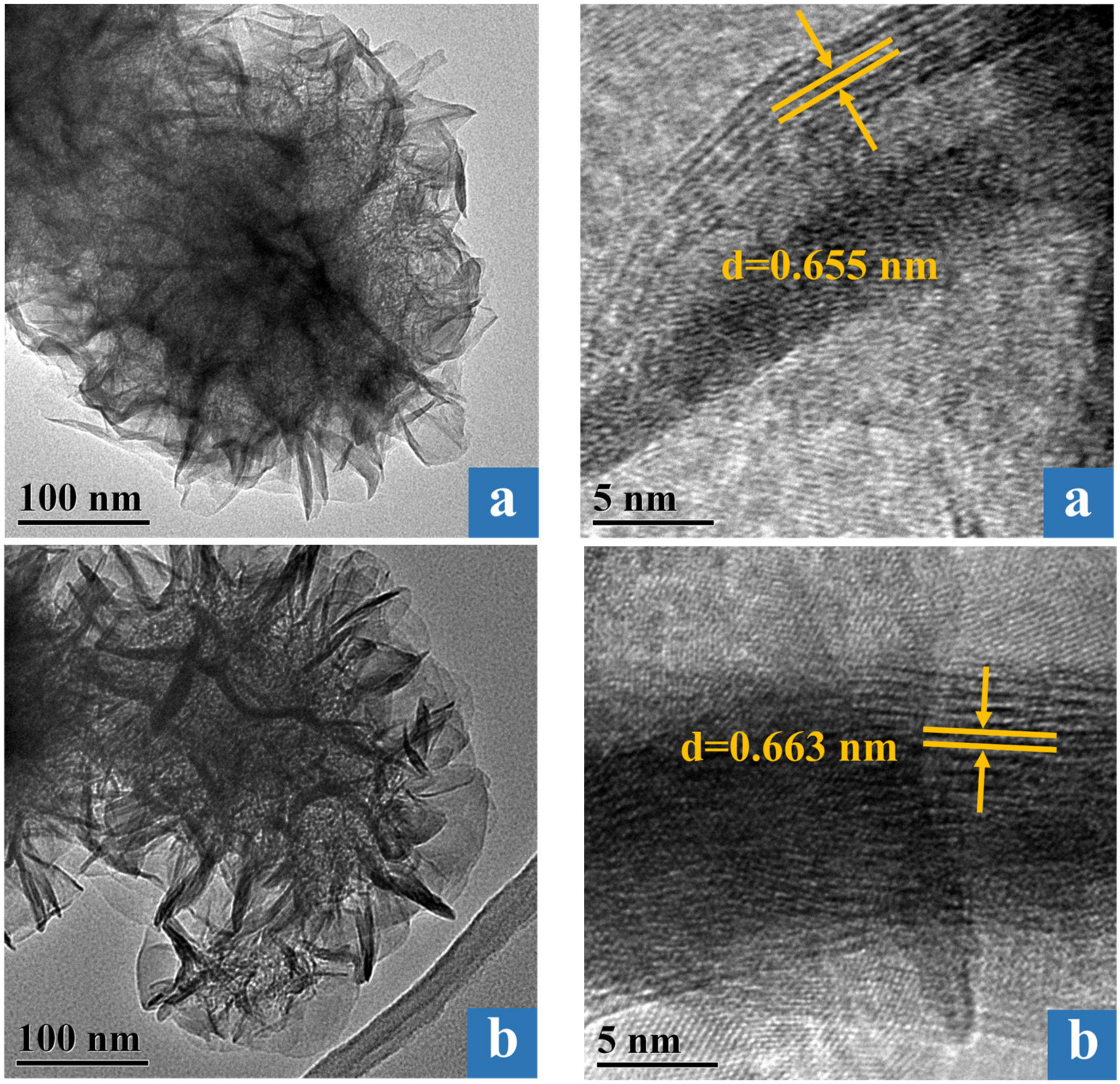 Catalysts 13 00490 g005a