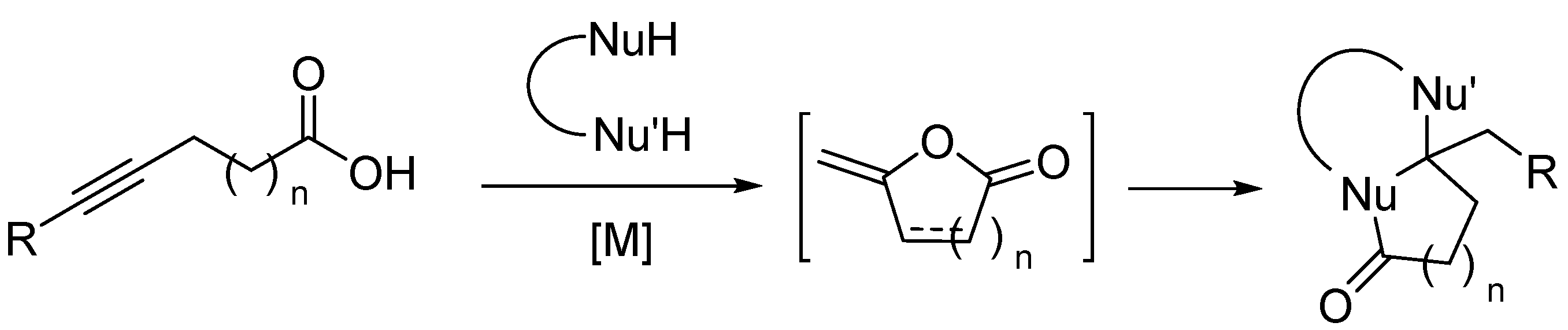 Catalysts 13 00495 sch001 Catalysts 13 00495 sch001