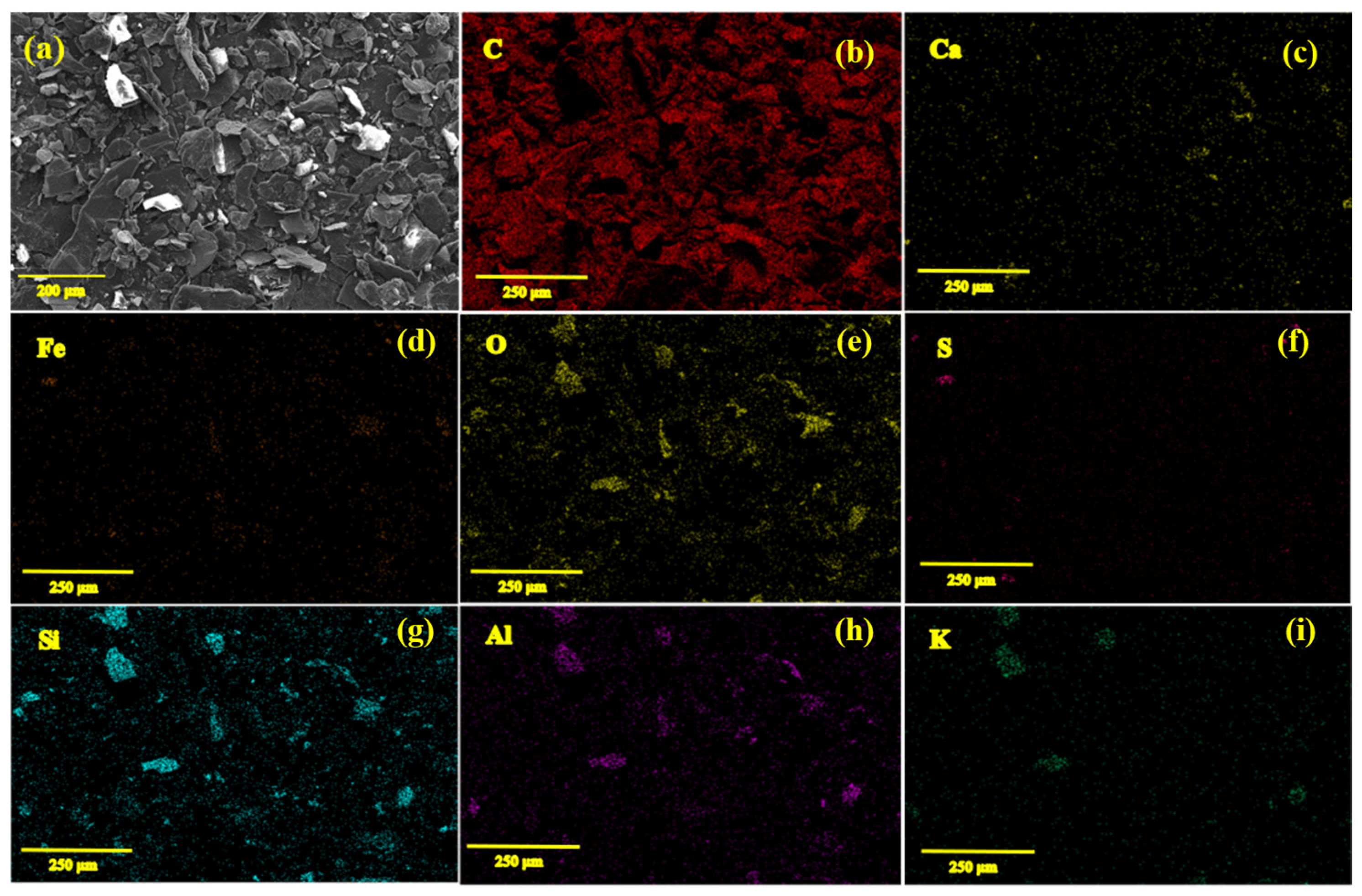 Catalysts 13 00499 g002 Catalysts 13 00499 g002