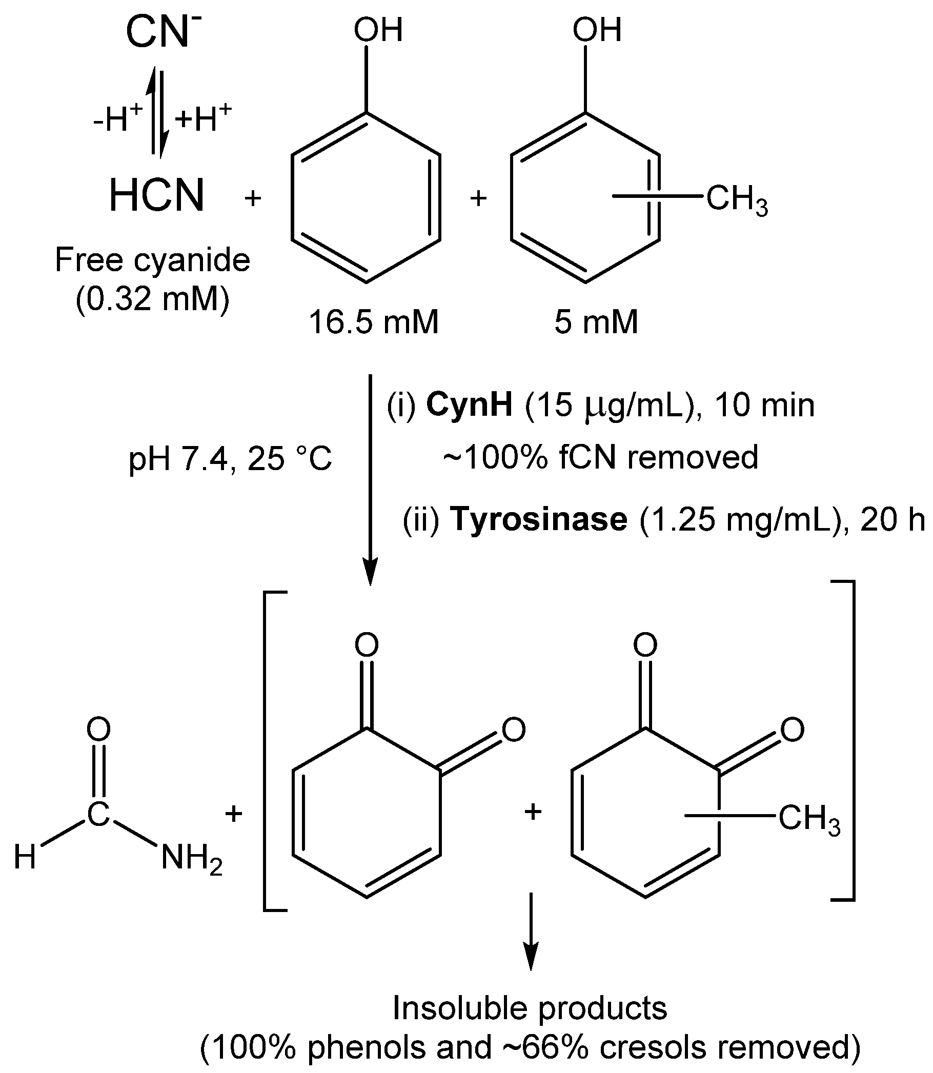 Catalysts 13 00500 g006