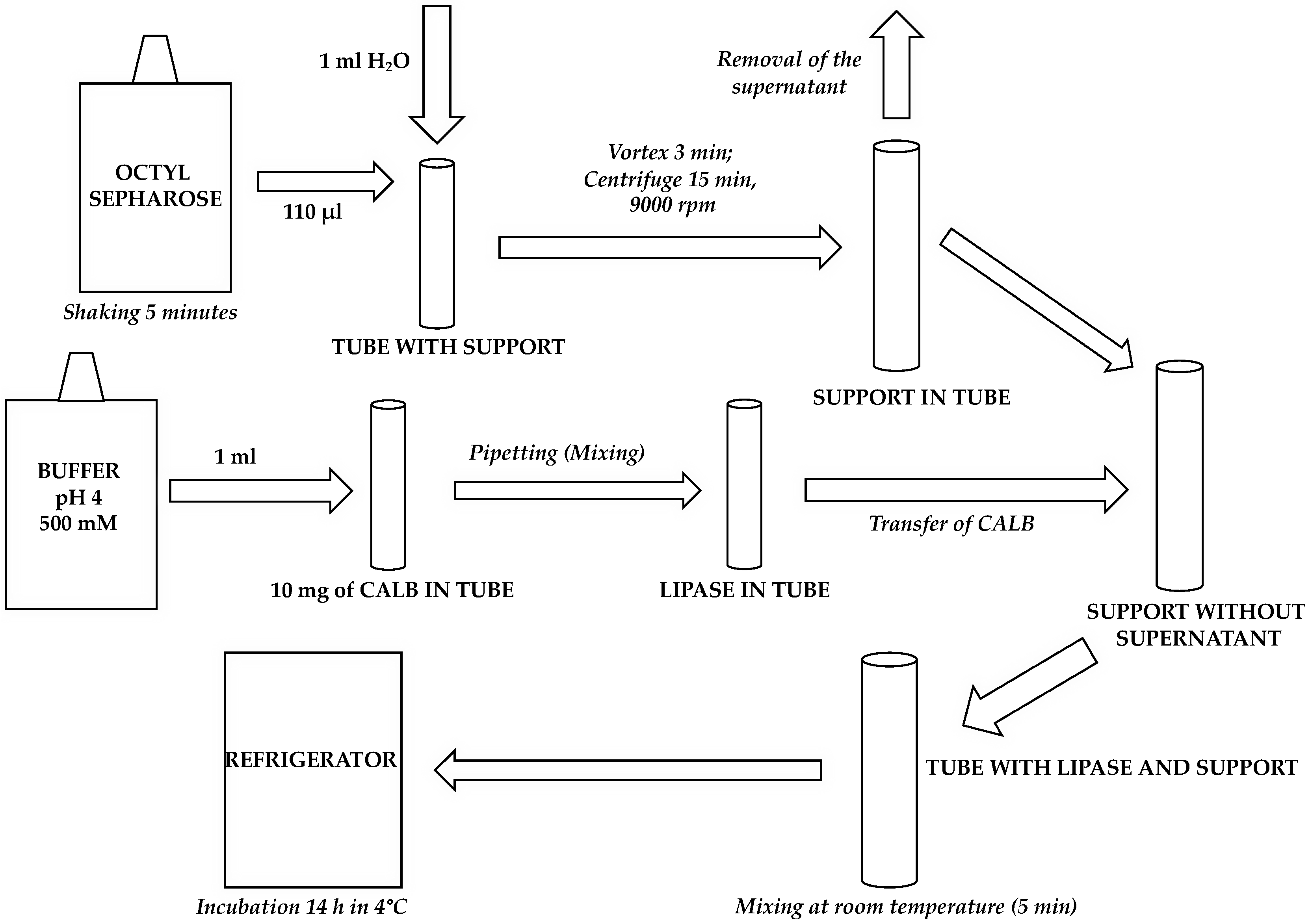 Catalysts 13 00501 g003