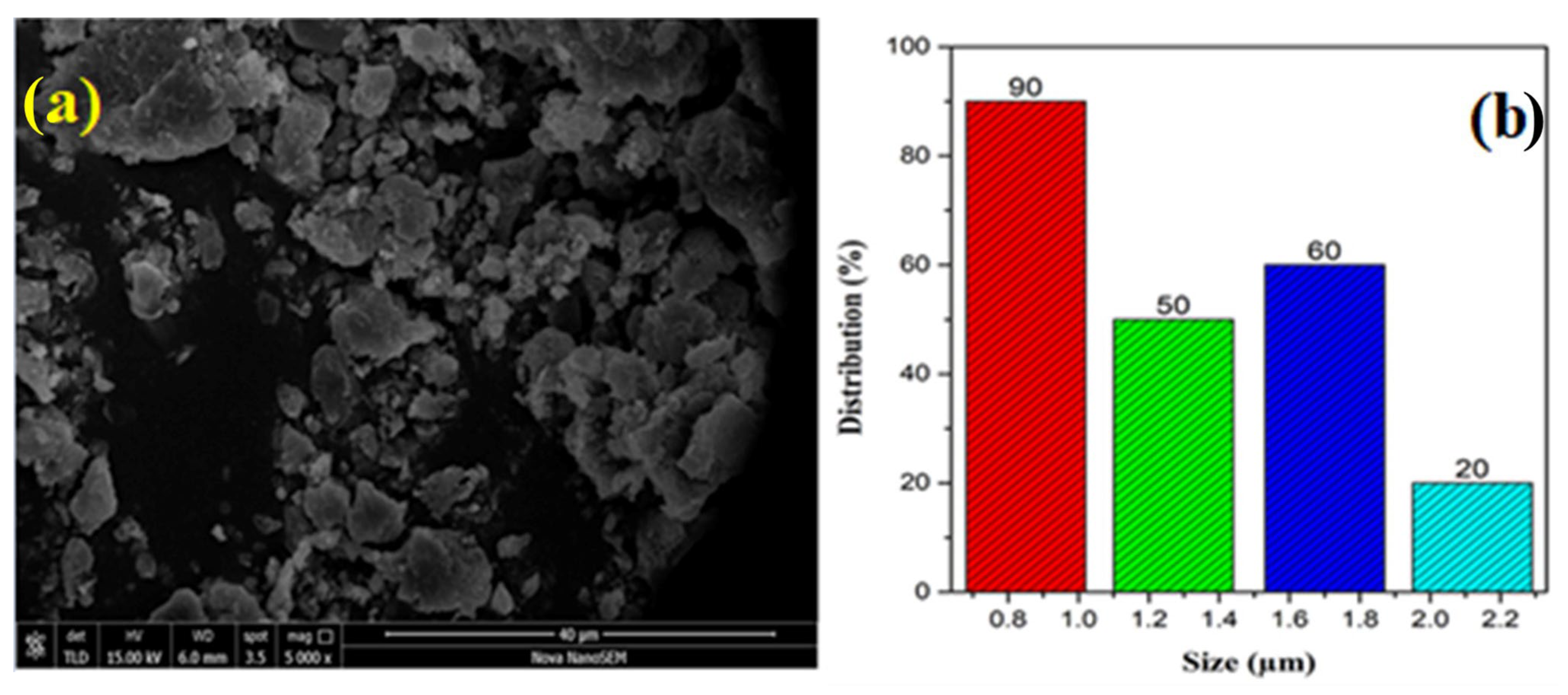 Catalysts 13 00502 g002