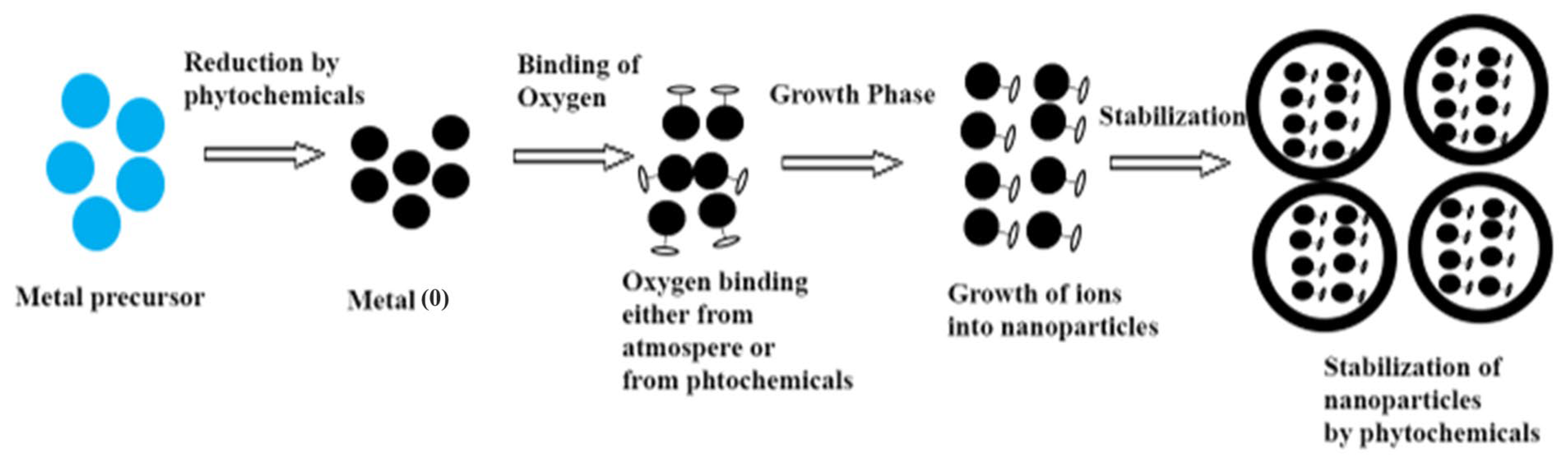 Catalysts 13 00502 g006