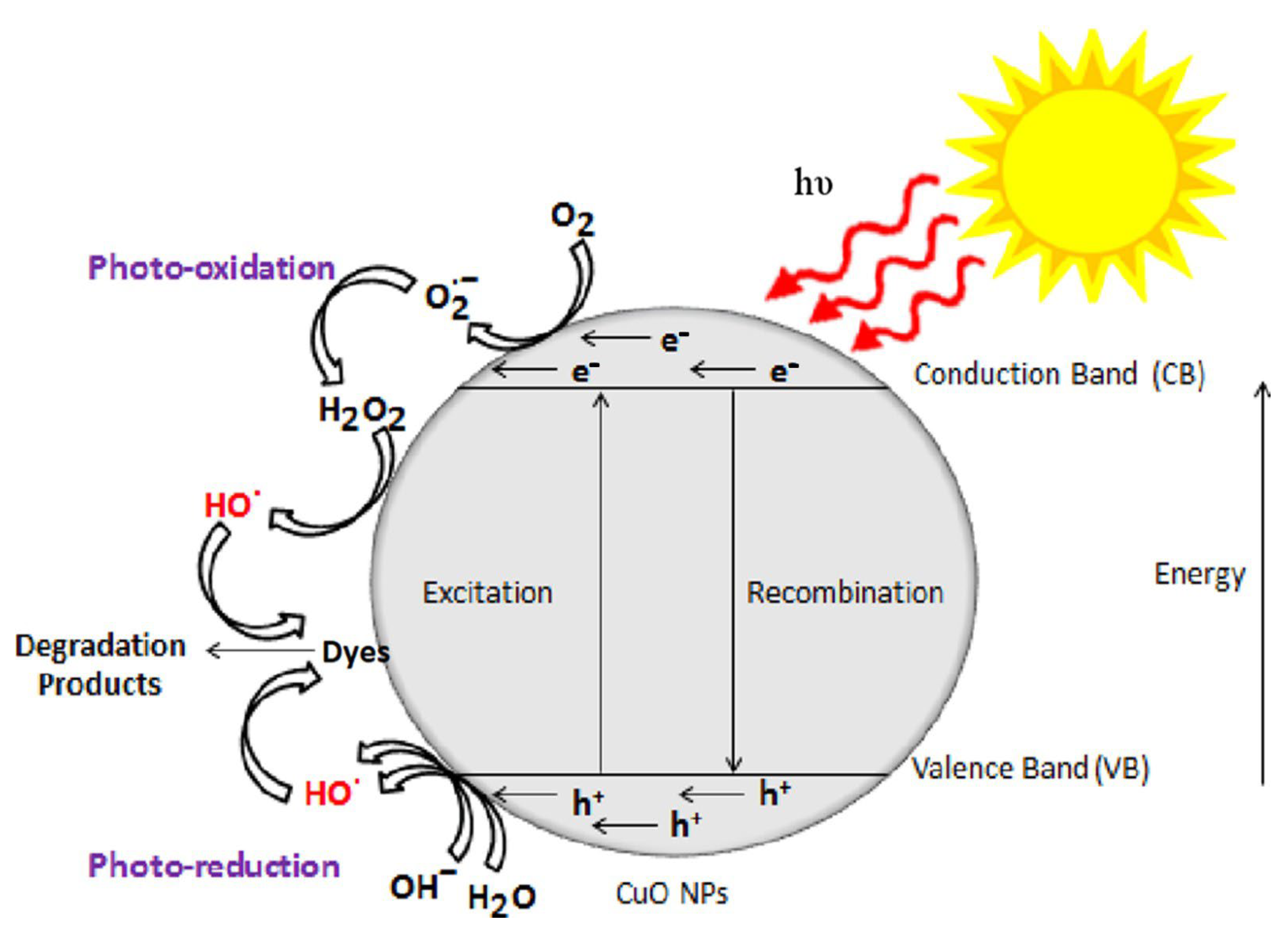 Catalysts 13 00502 g010