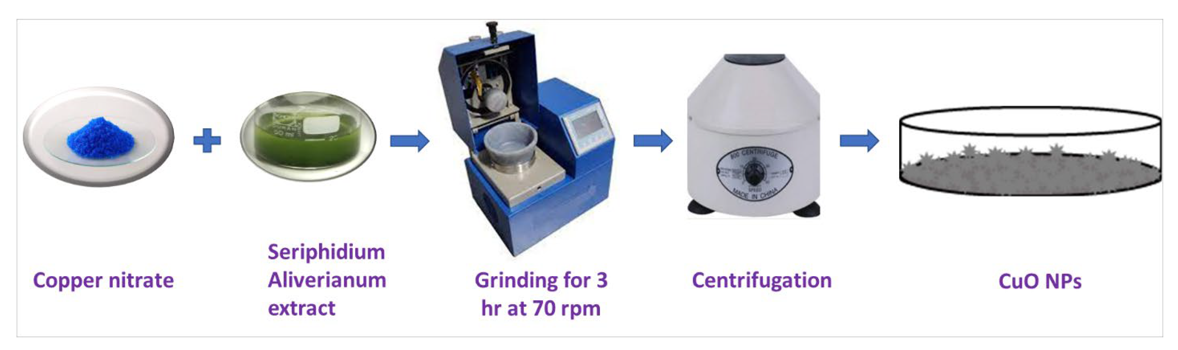 Catalysts 13 00502 g011