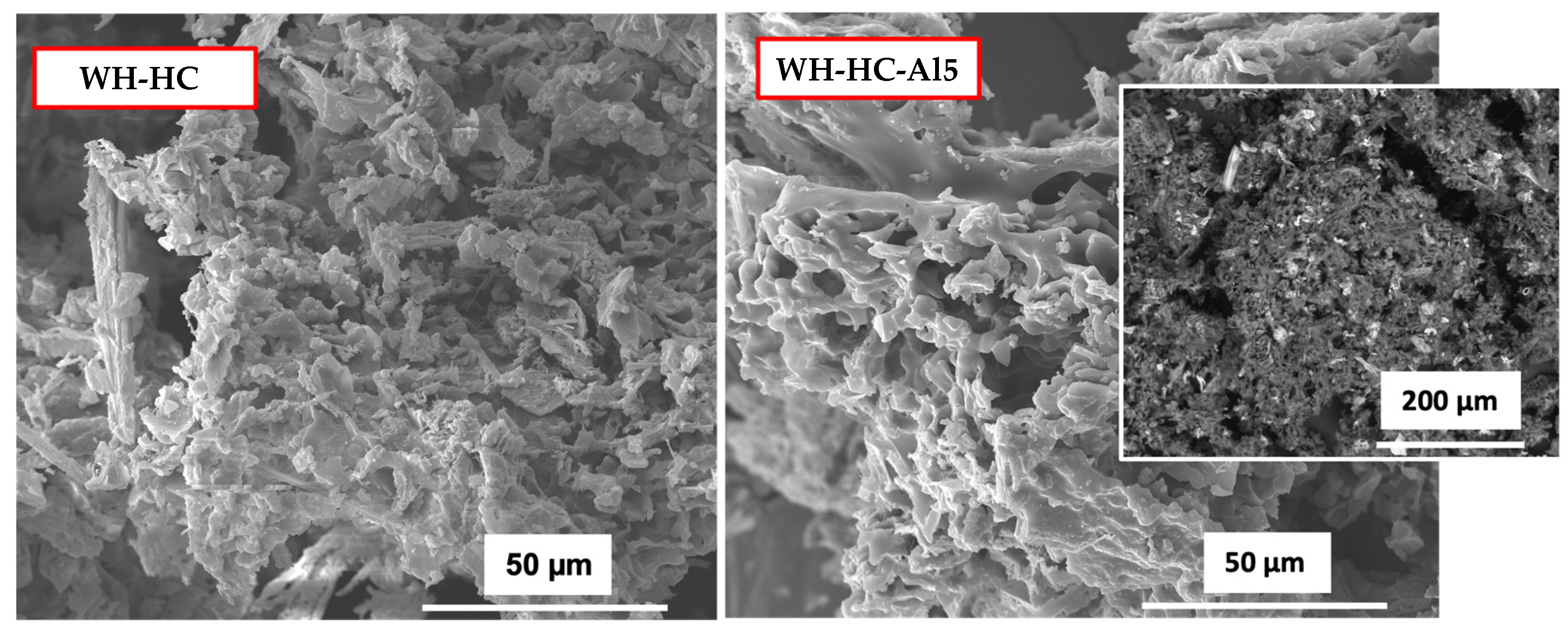 Catalysts 13 00506 g004