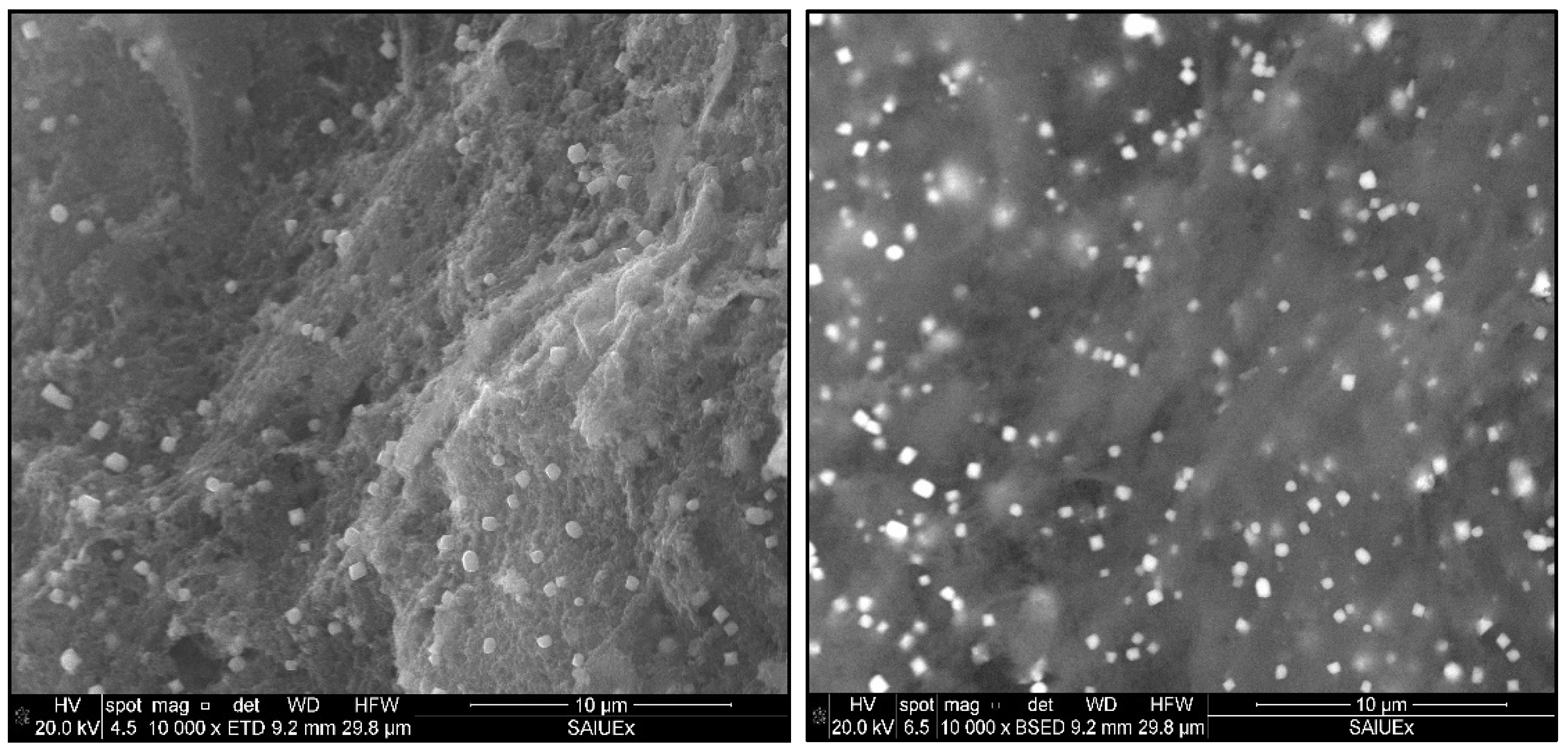 Catalysts 13 00506 g006