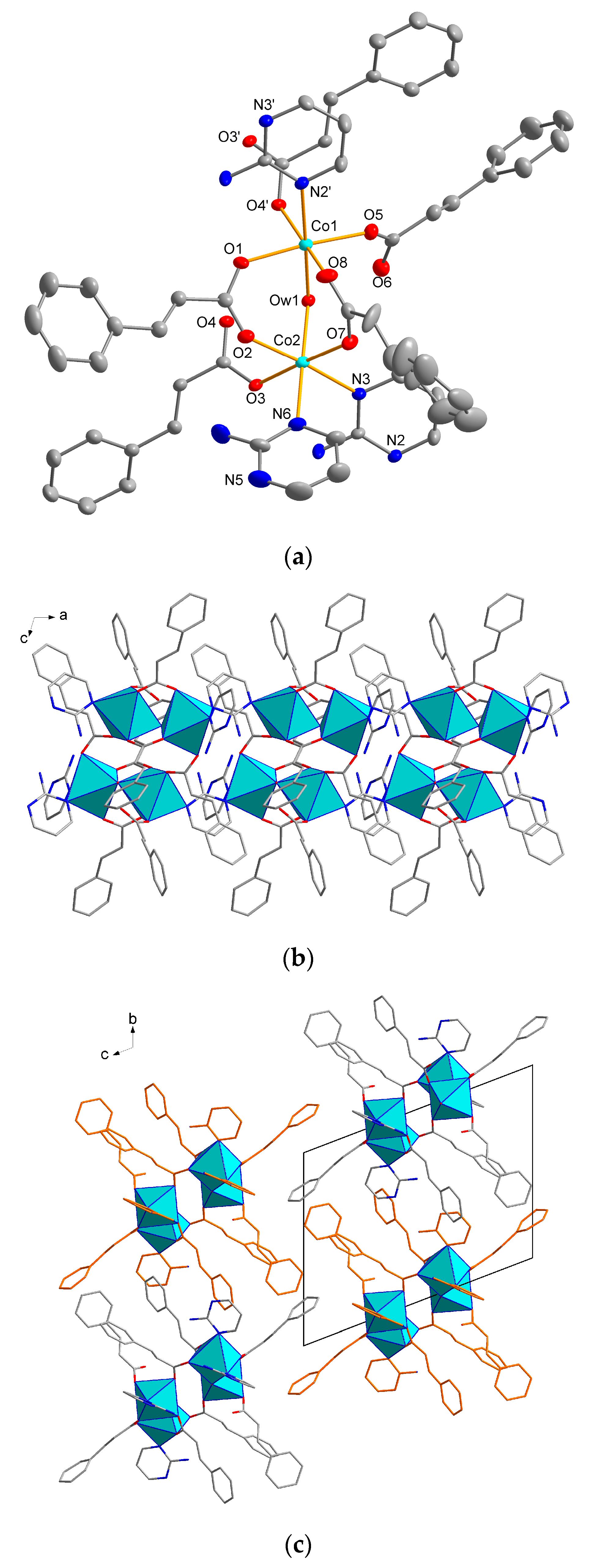 Catalysts 13 00507 g001