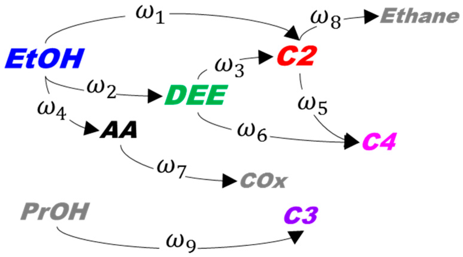 Catalysts 13 00509 sch001