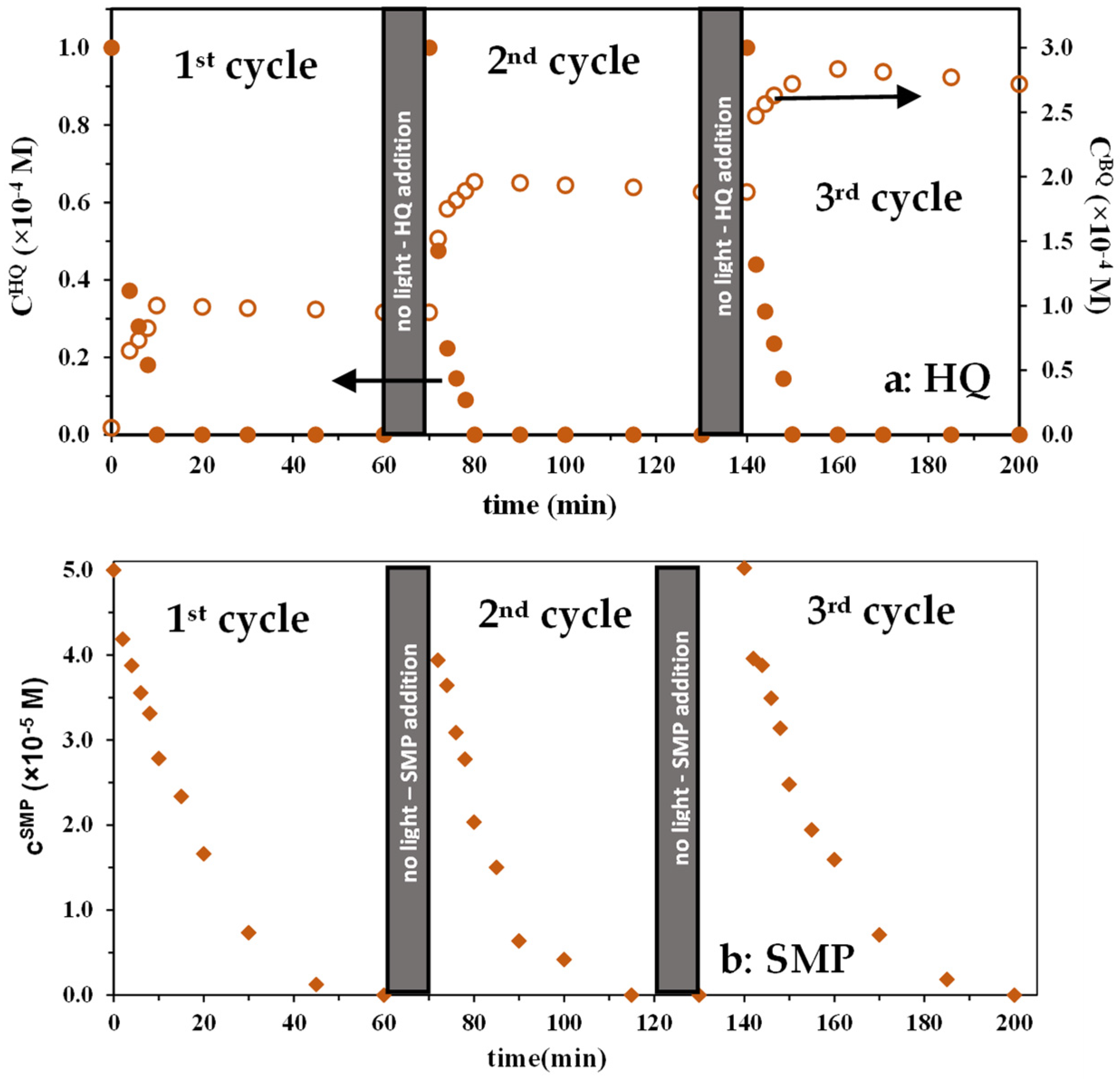 Catalysts 13 00513 g009