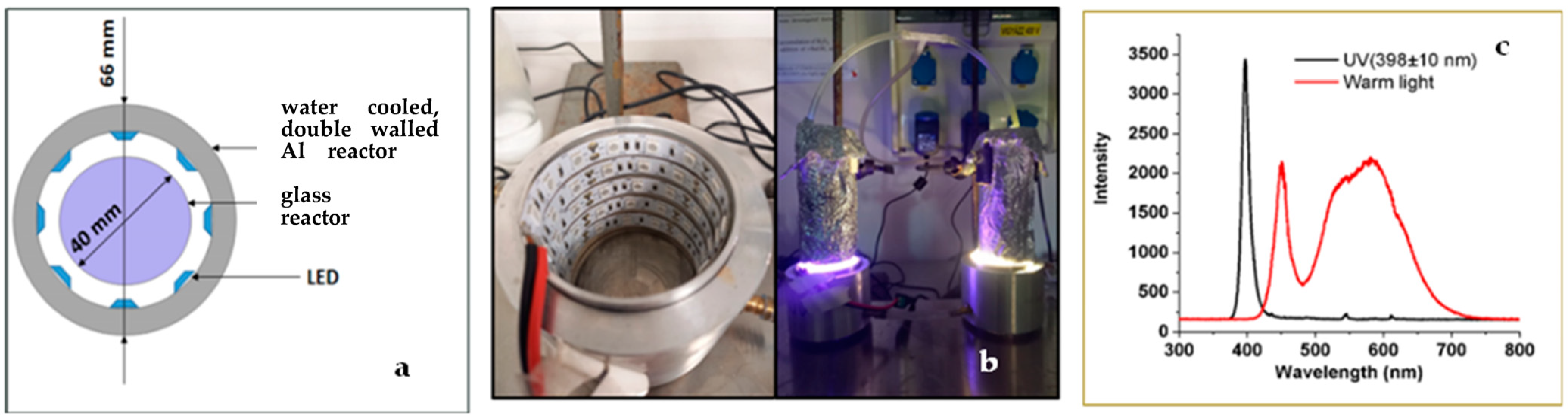 Catalysts 13 00513 g011