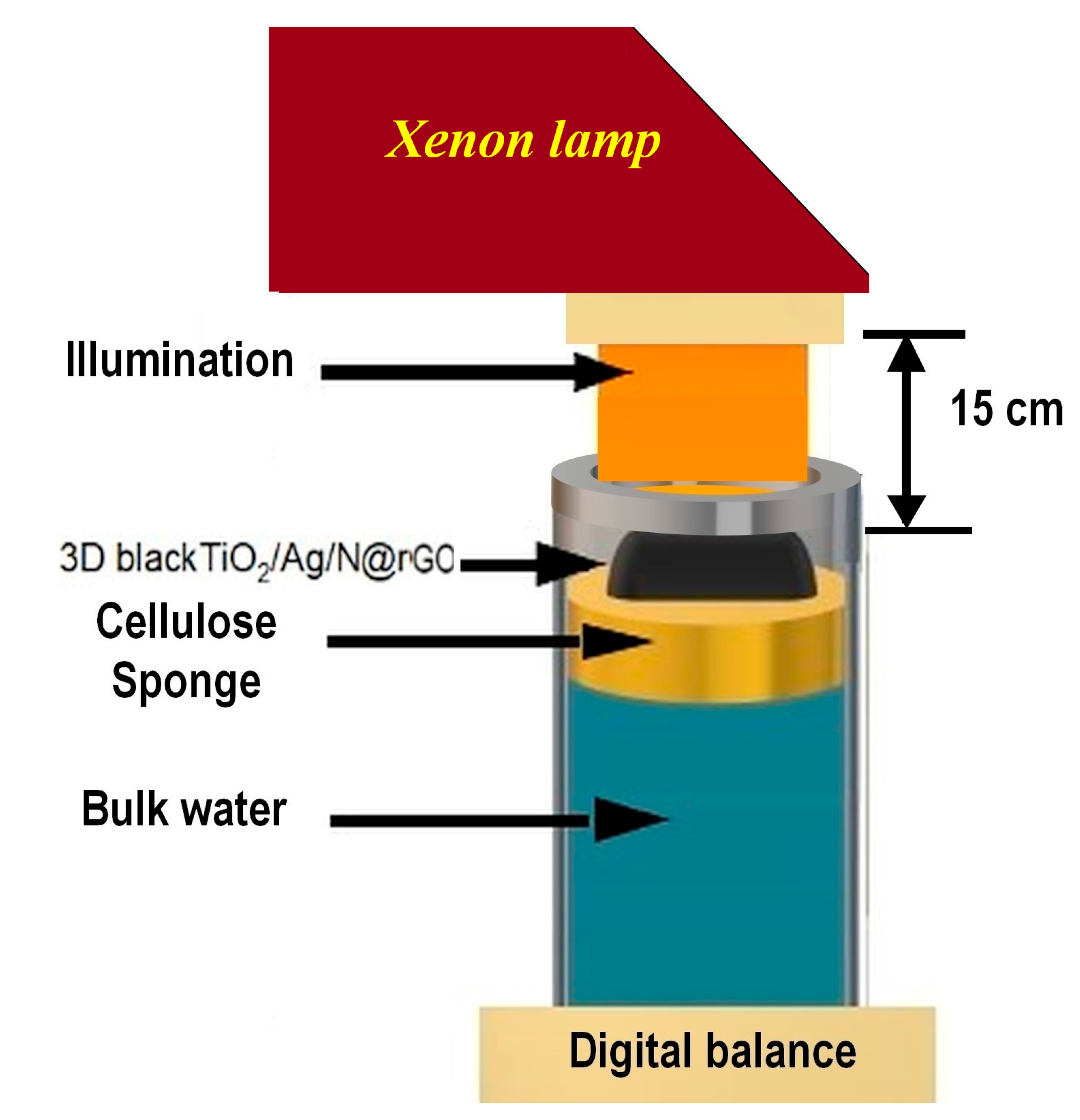 Catalysts 13 00514 g002 Catalysts 13 00514 g002