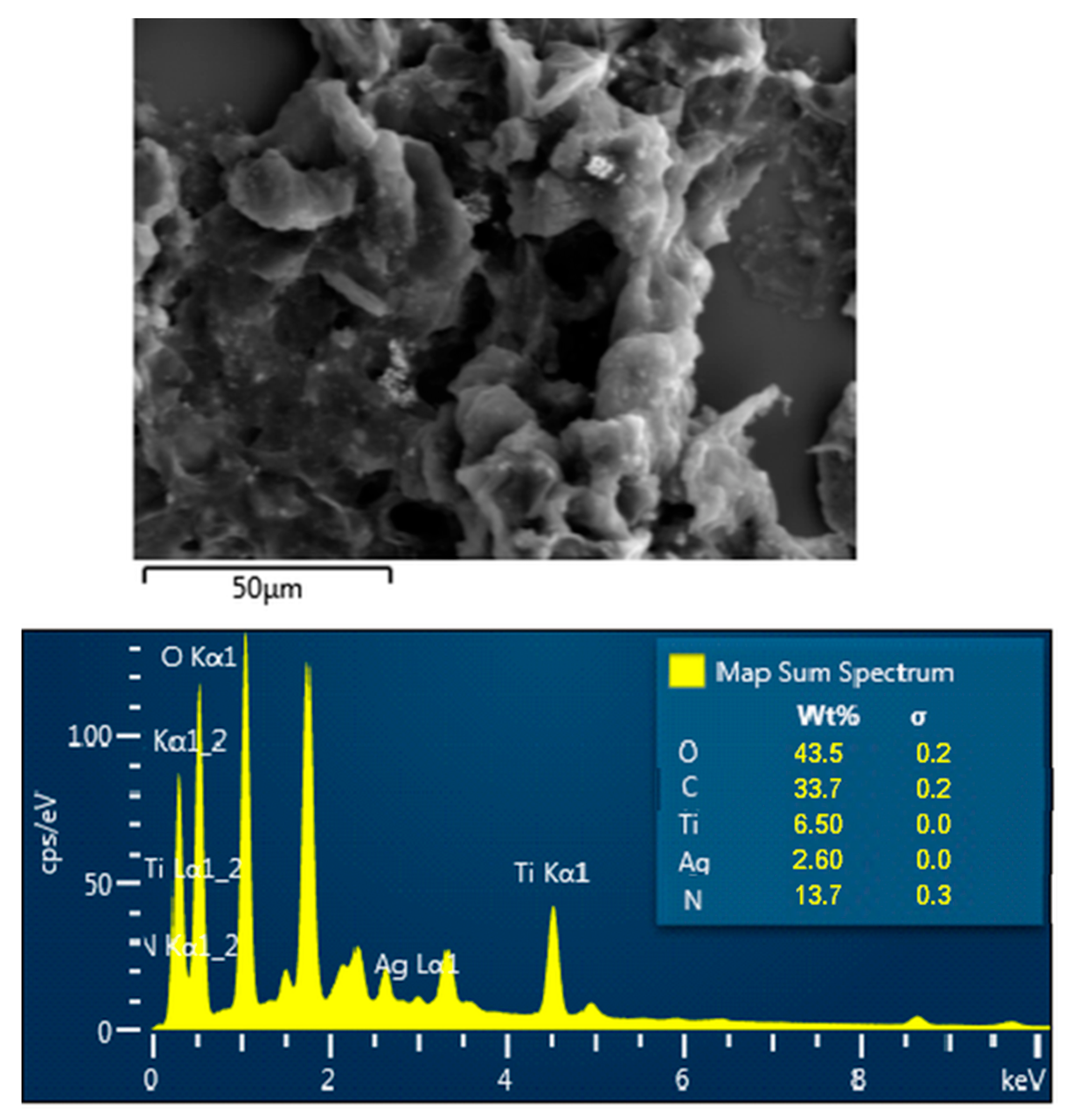Catalysts 13 00514 g004 Catalysts 13 00514 g004