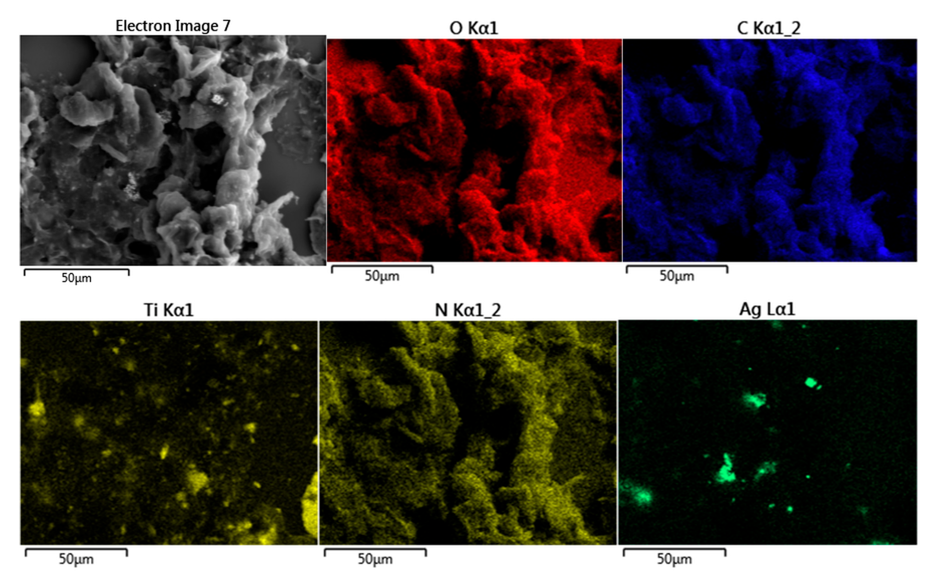 Catalysts 13 00514 g005 Catalysts 13 00514 g005
