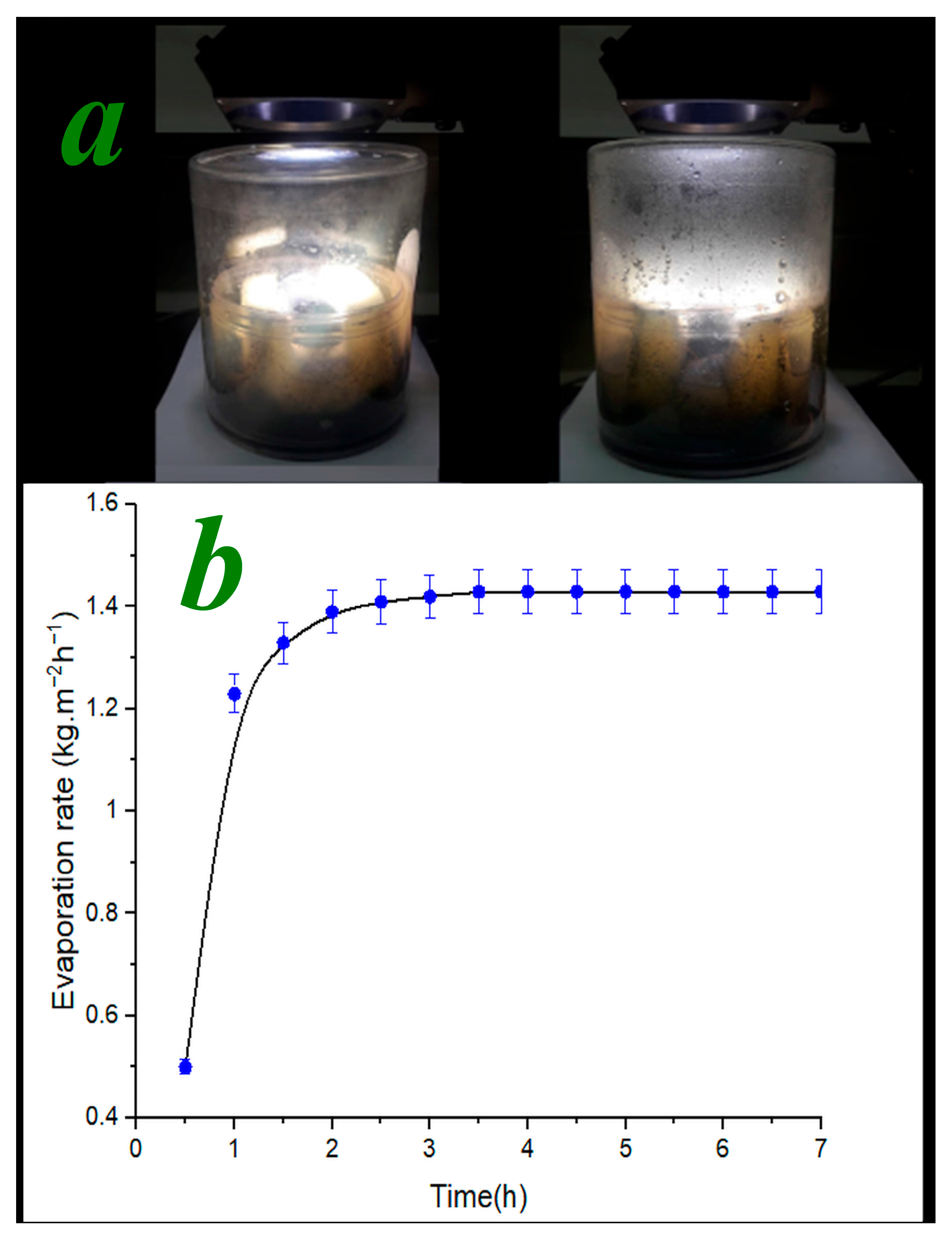 Catalysts 13 00514 g011 Catalysts 13 00514 g011