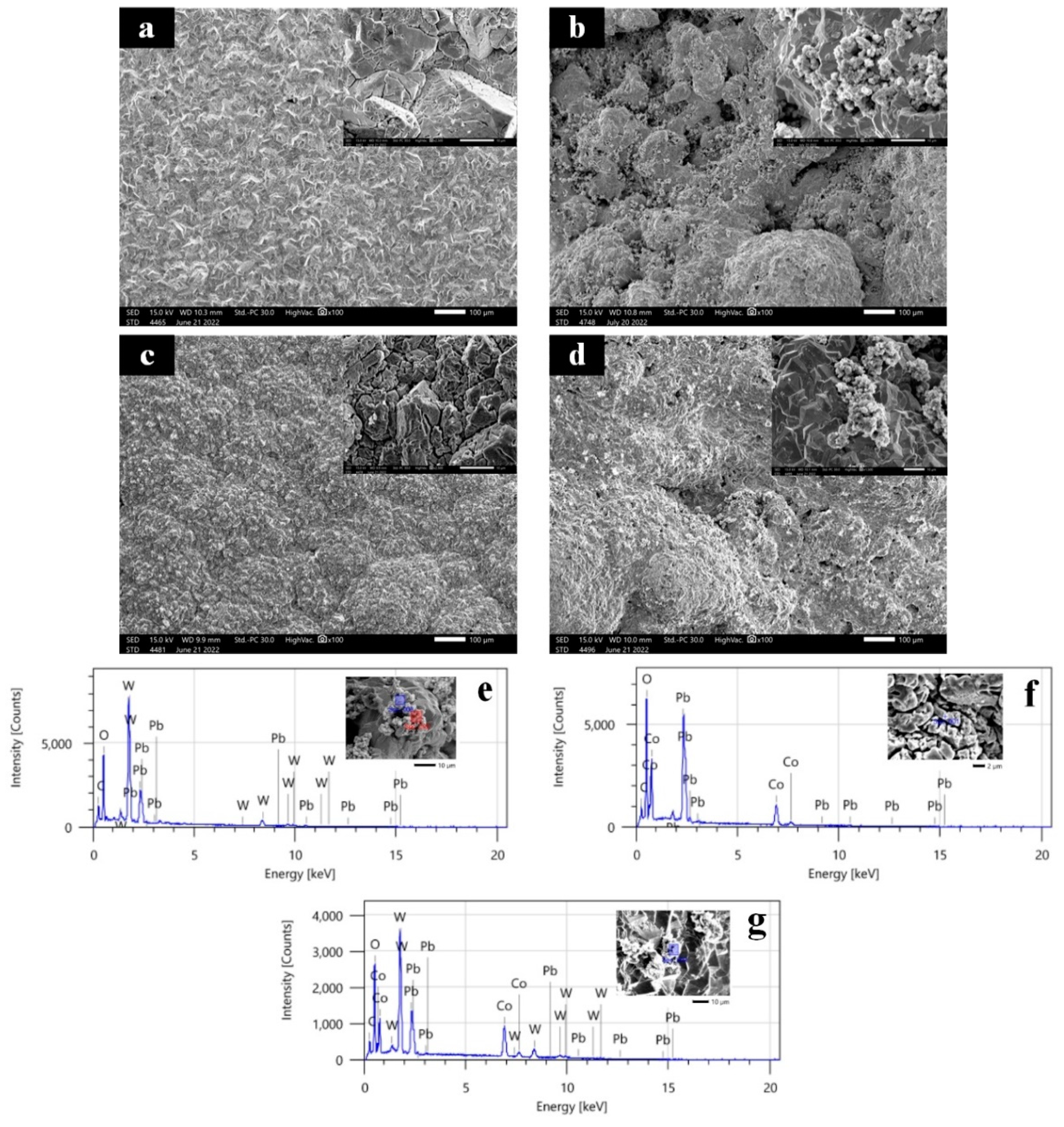Catalysts 13 00515 g001