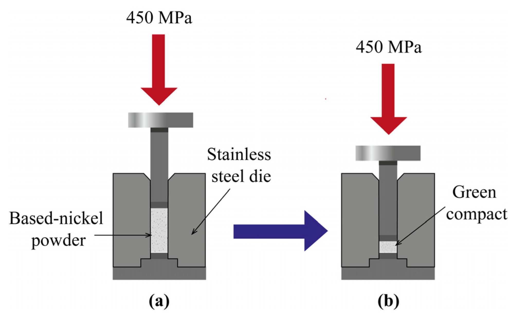 Catalysts 13 00517 g011