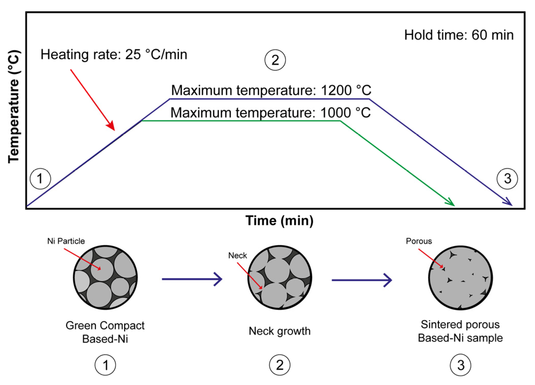 Catalysts 13 00517 g012