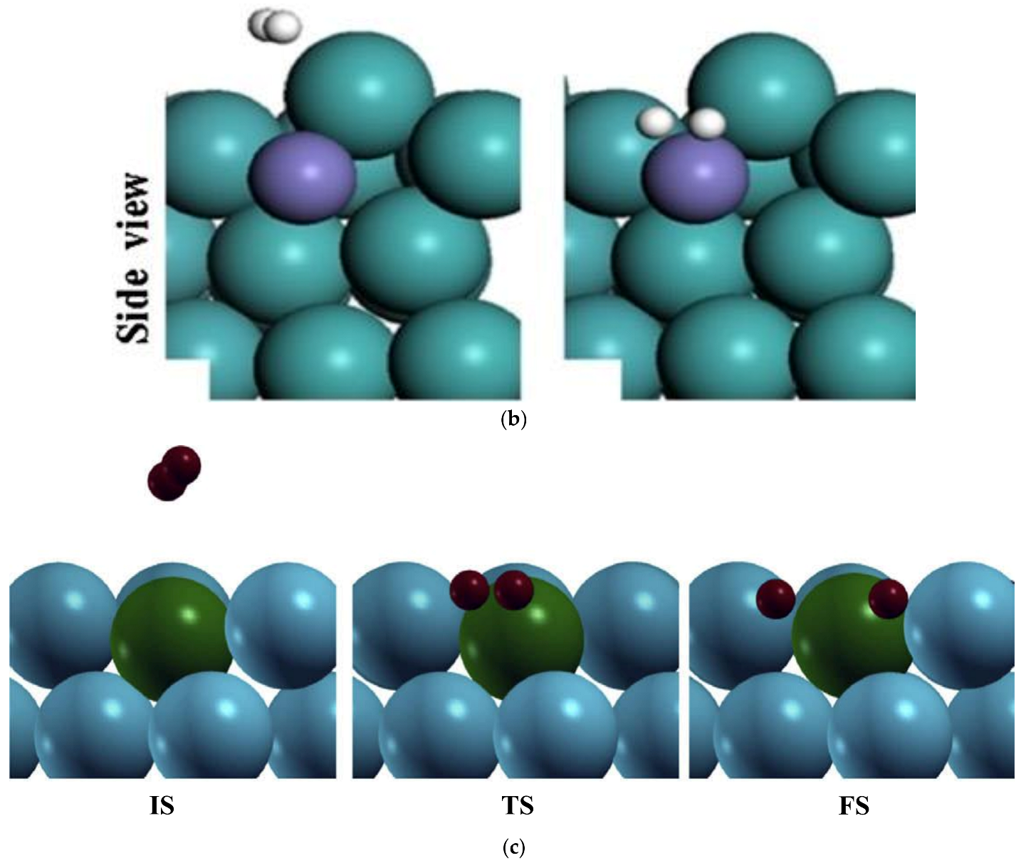 Catalysts 13 00519 g021b Catalysts 13 00519 g021b