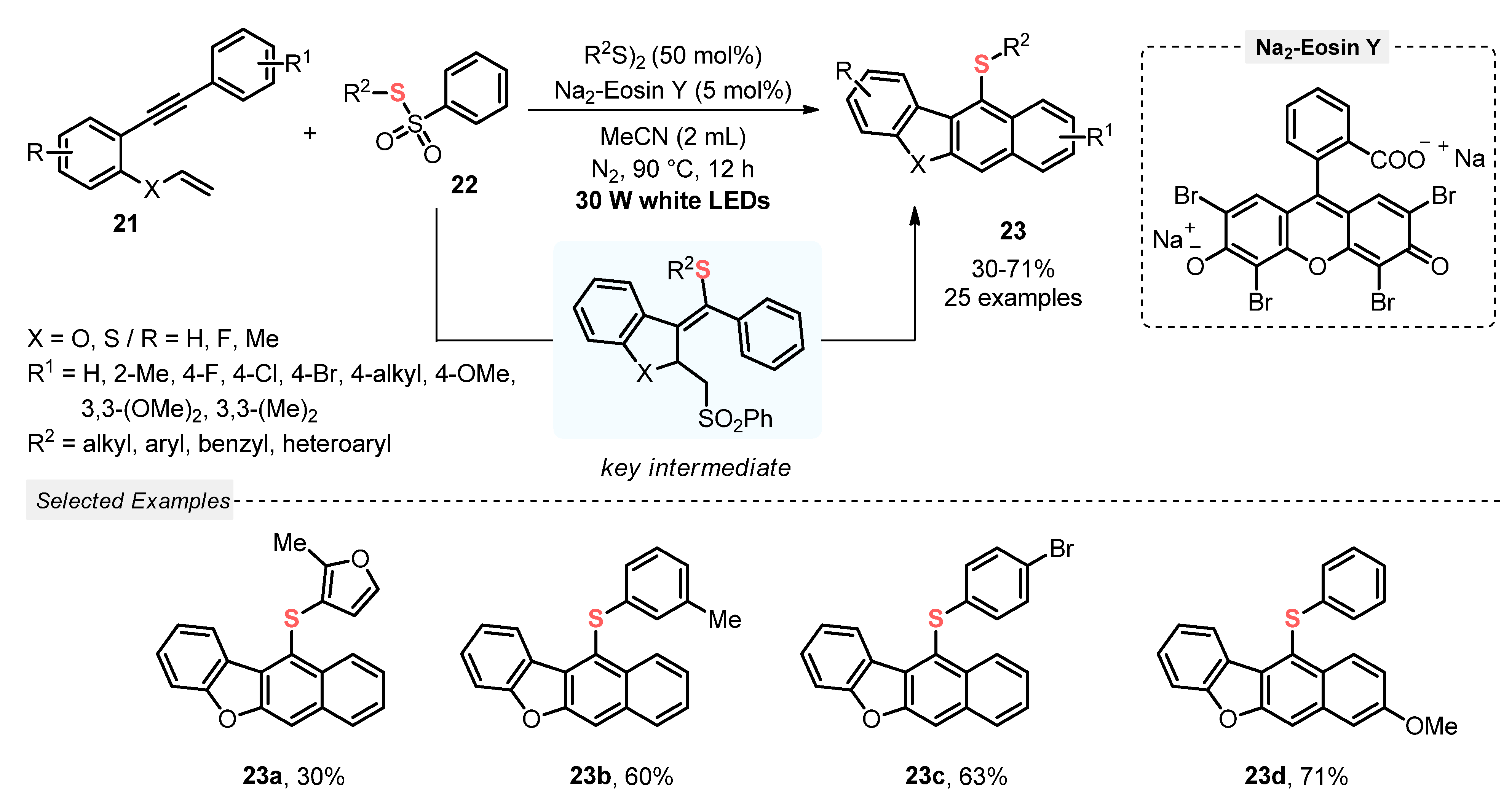 Catalysts 13 00520 sch009