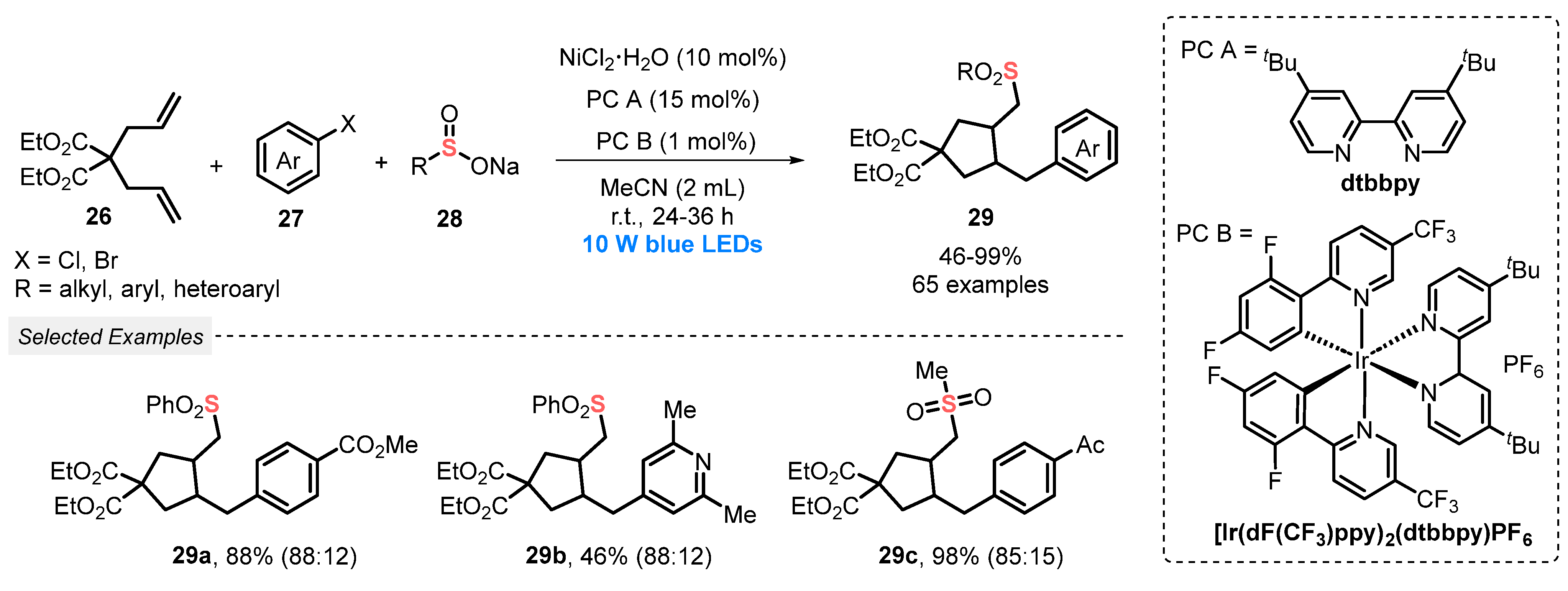 Catalysts 13 00520 sch012