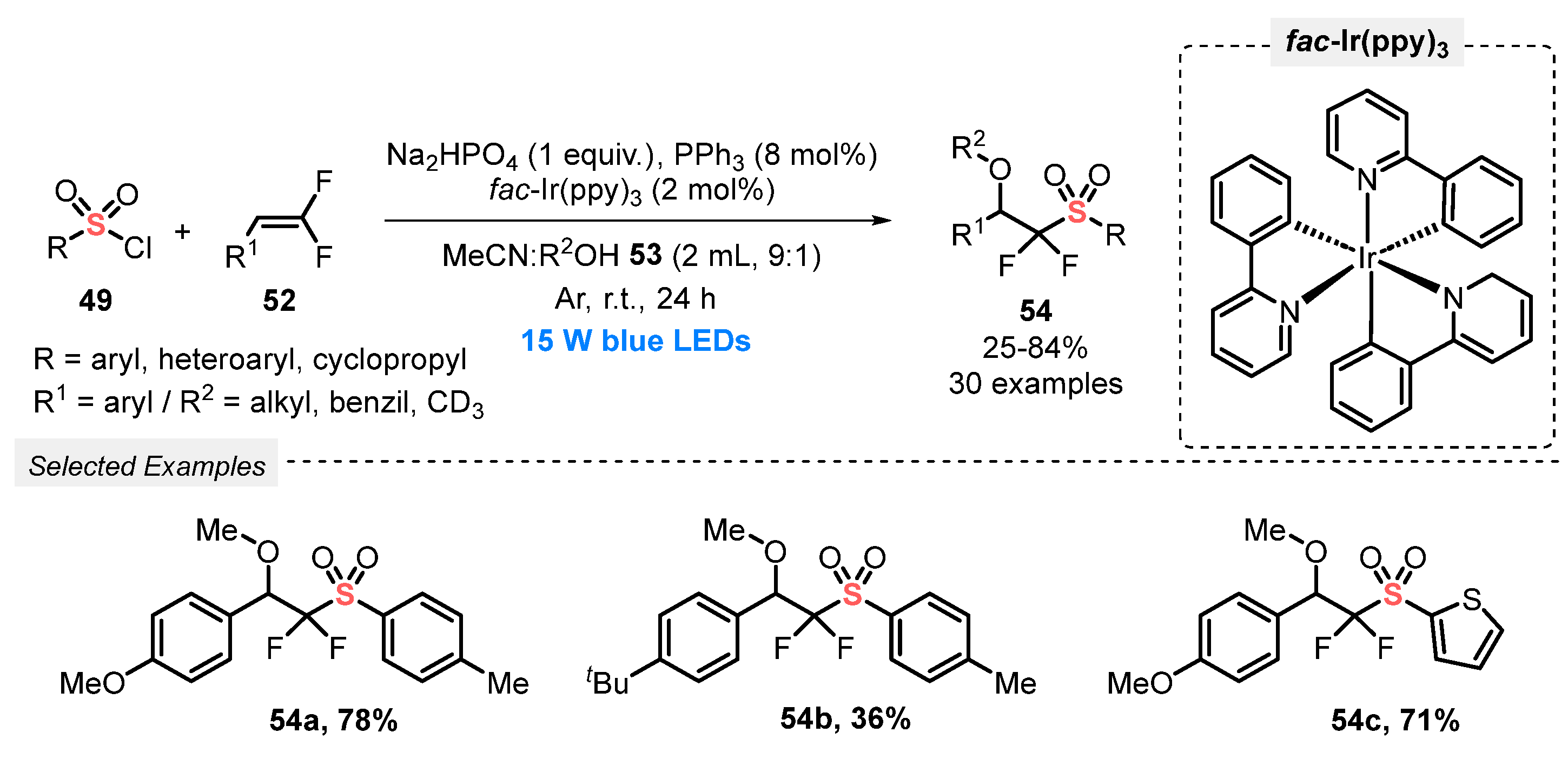 Catalysts 13 00520 sch026