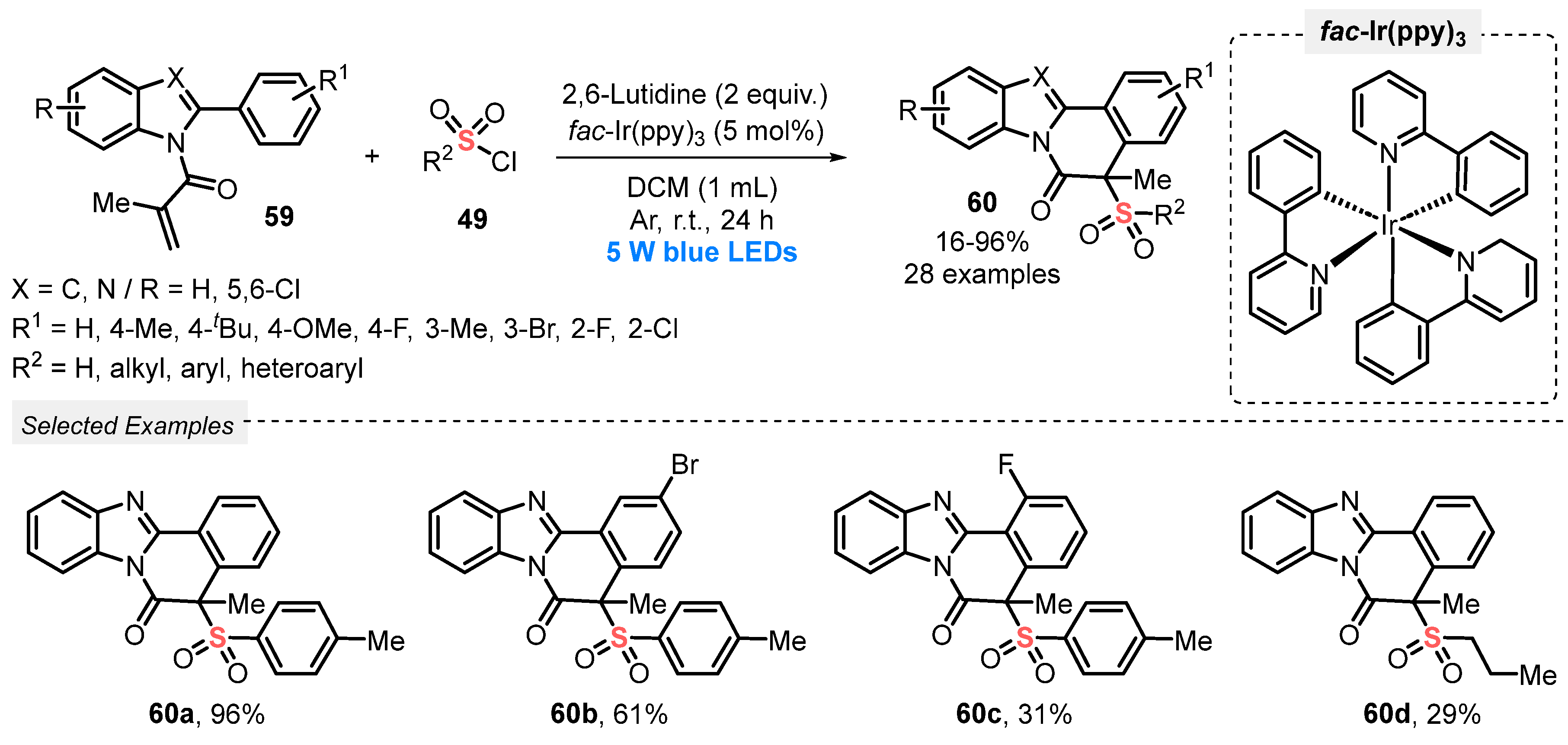 Catalysts 13 00520 sch029