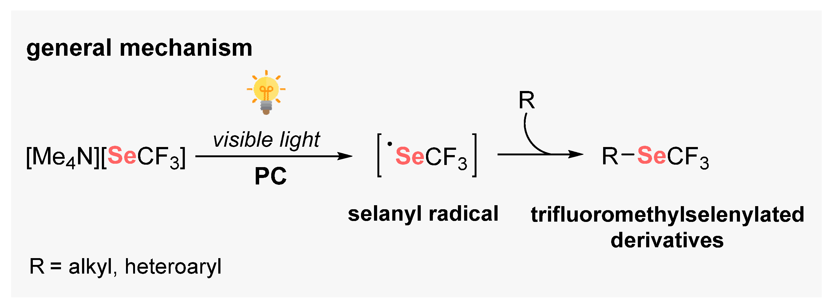 Catalysts 13 00520 sch075