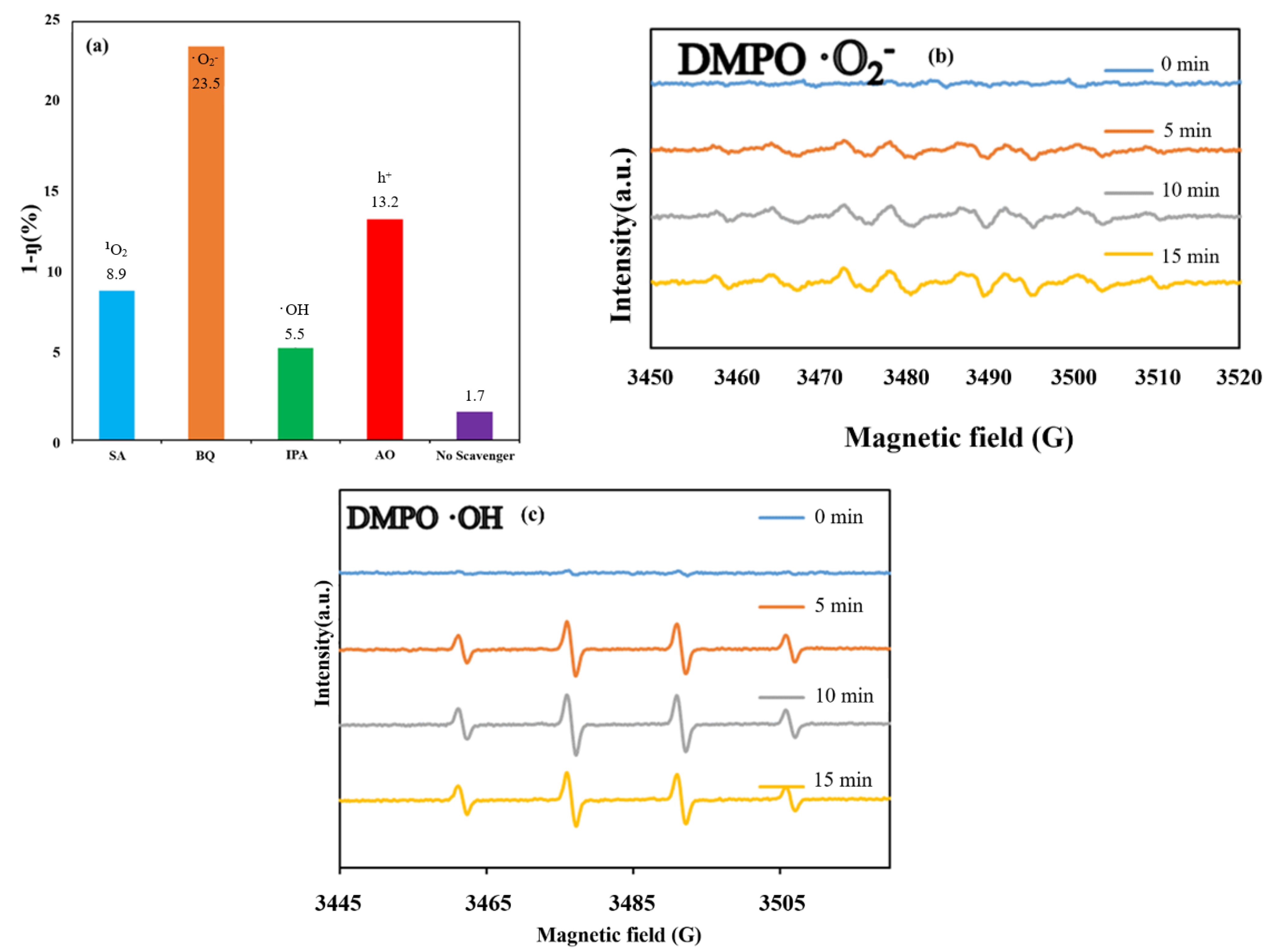 Catalysts 13 00522 g012