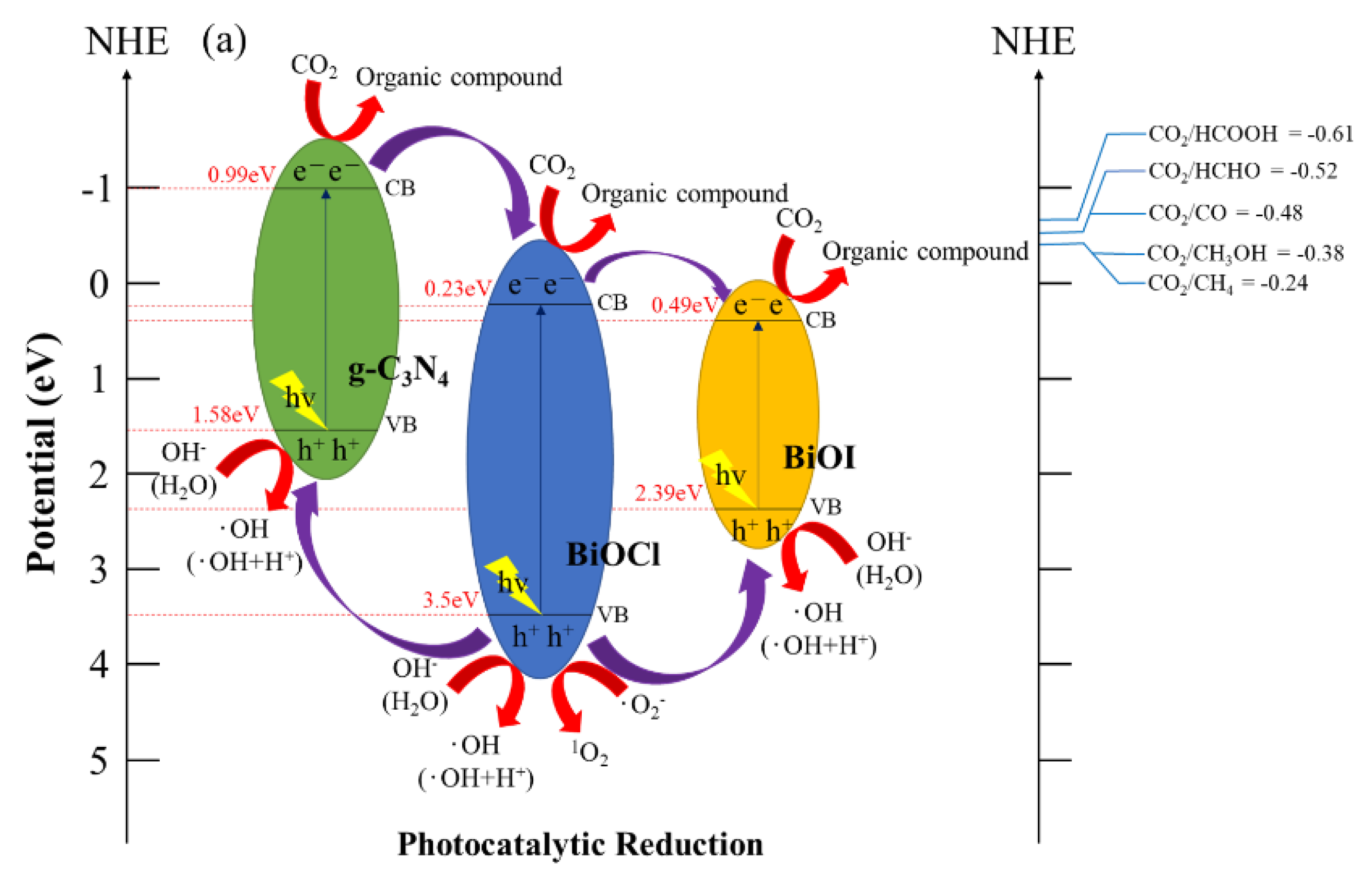 Catalysts 13 00522 g013a