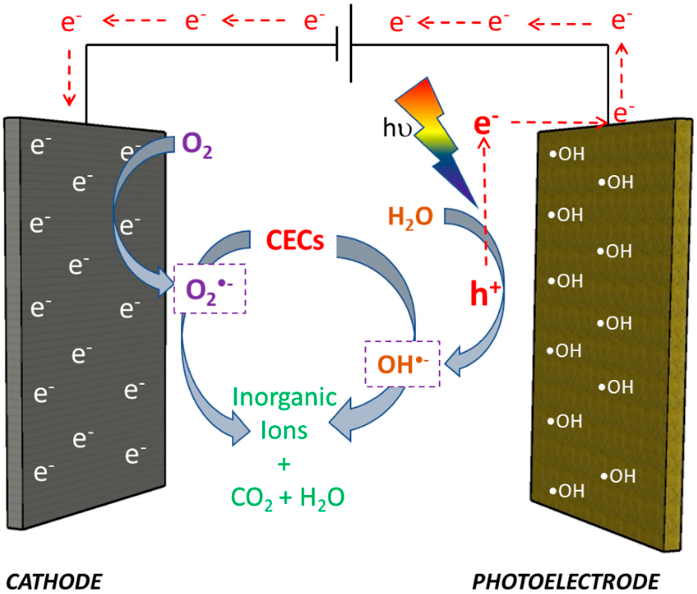 Catalysts 13 00524 g001 Catalysts 13 00524 g001
