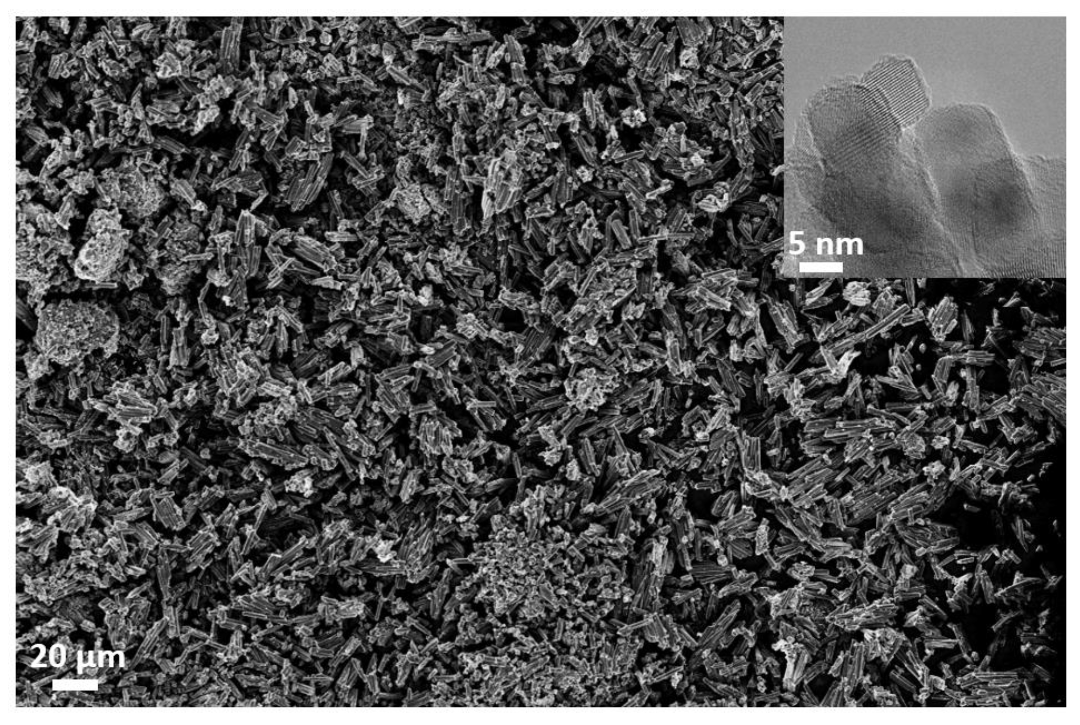Catalysts 13 00526 g002 Catalysts 13 00526 g002