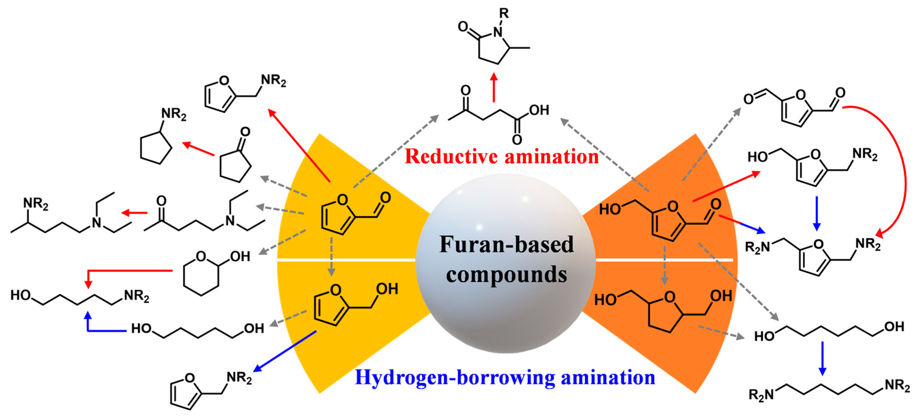 Catalysts 13 00528 g002