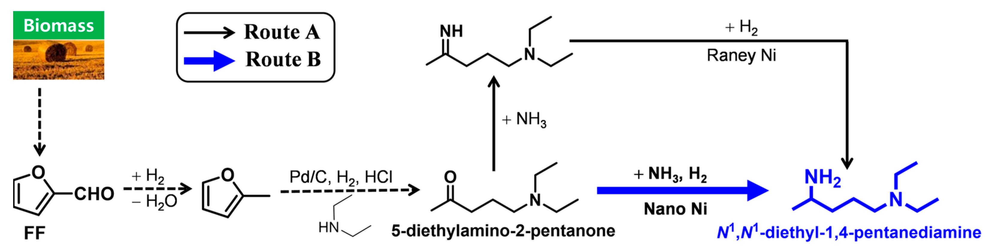 Catalysts 13 00528 g006