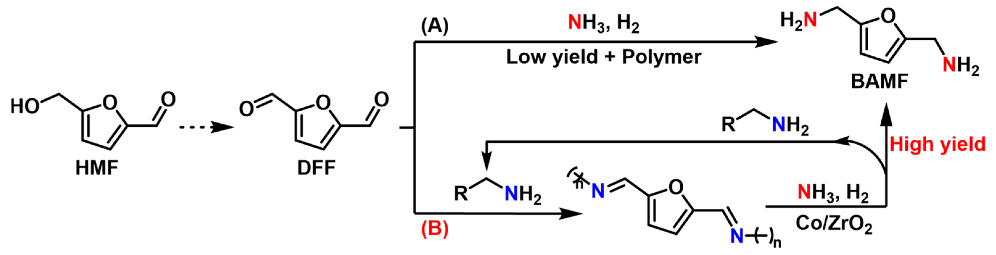 Catalysts 13 00528 g007