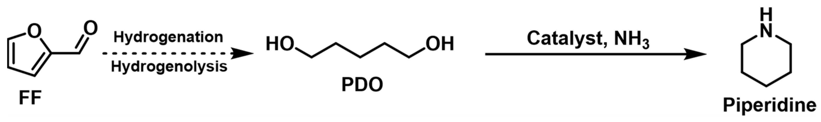 Catalysts 13 00528 g011