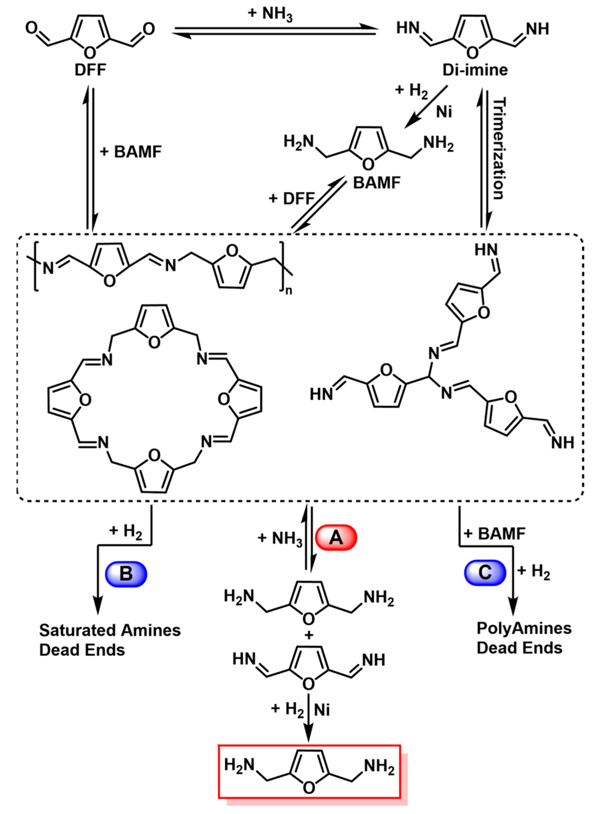Catalysts 13 00528 sch003