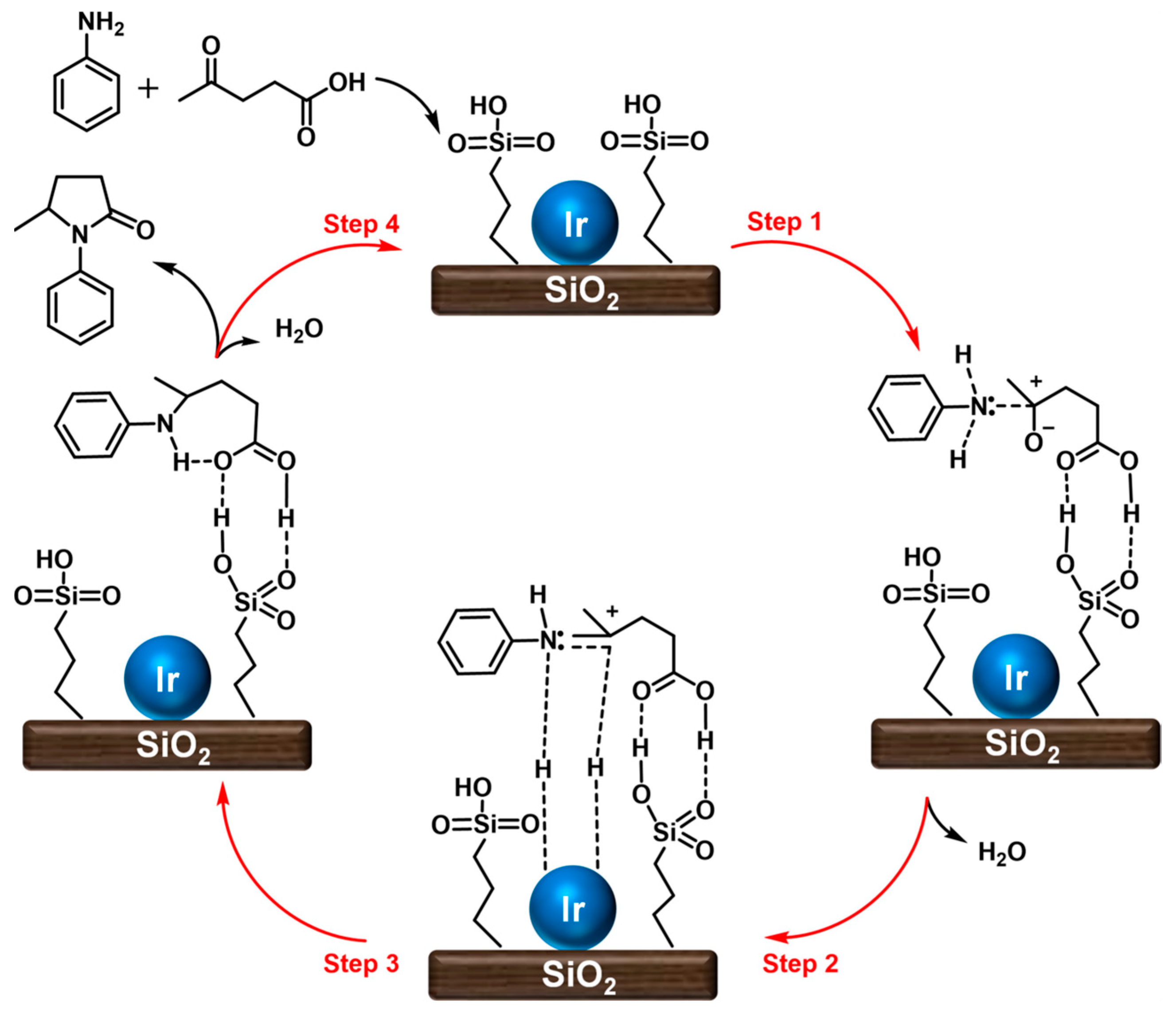 Catalysts 13 00528 sch004