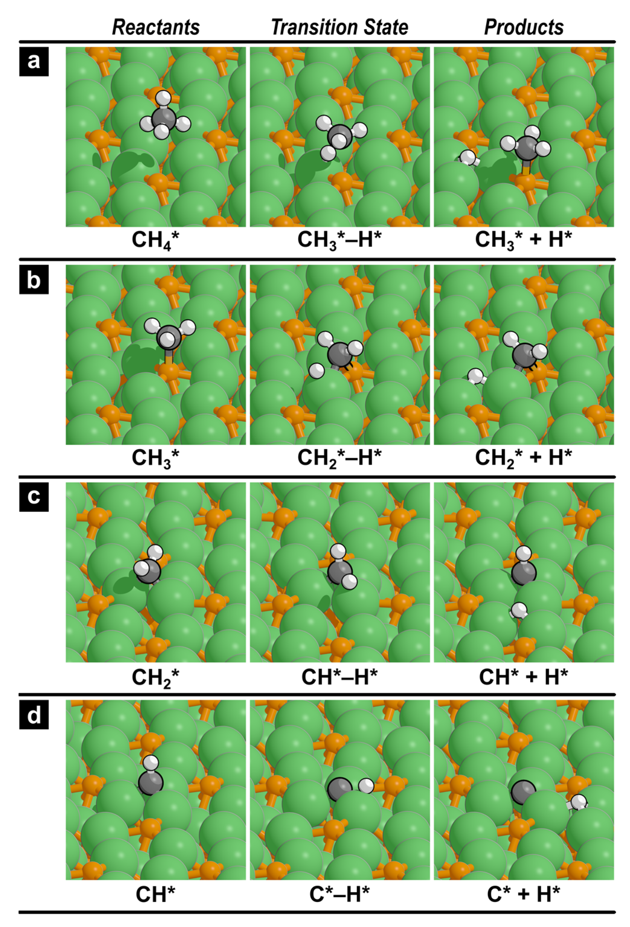 Catalysts 13 00531 g002 Catalysts 13 00531 g002