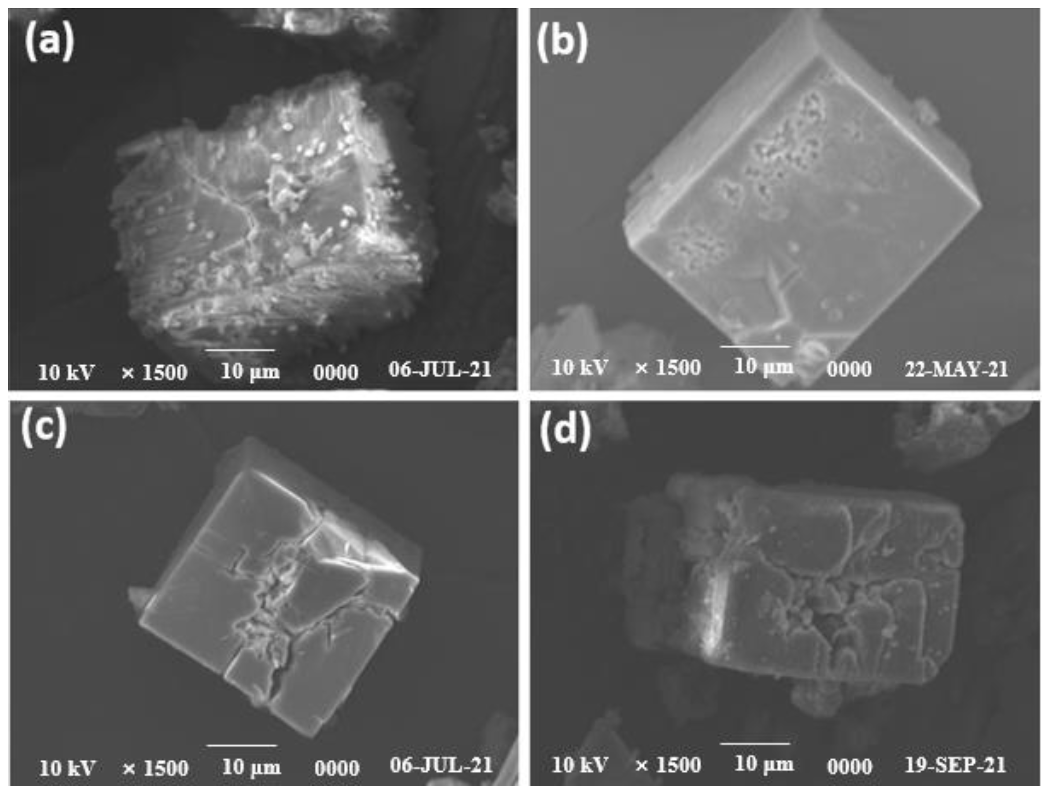 Catalysts 13 00532 g004 Catalysts 13 00532 g004
