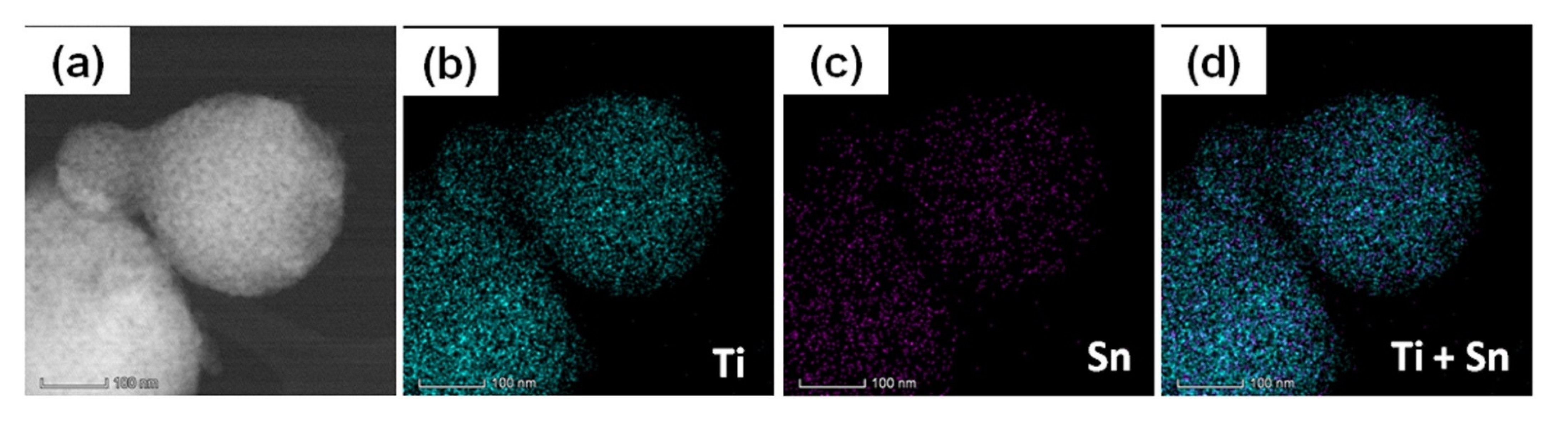 Catalysts 13 00534 g006a