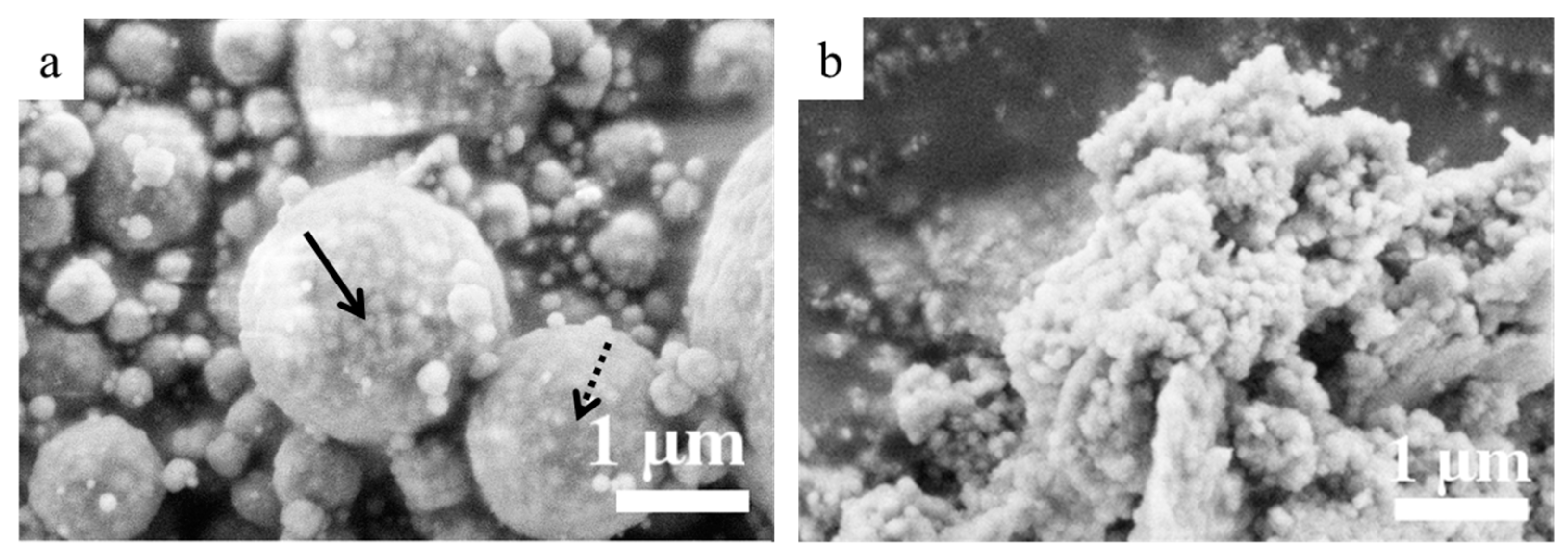 Catalysts 13 00536 g004