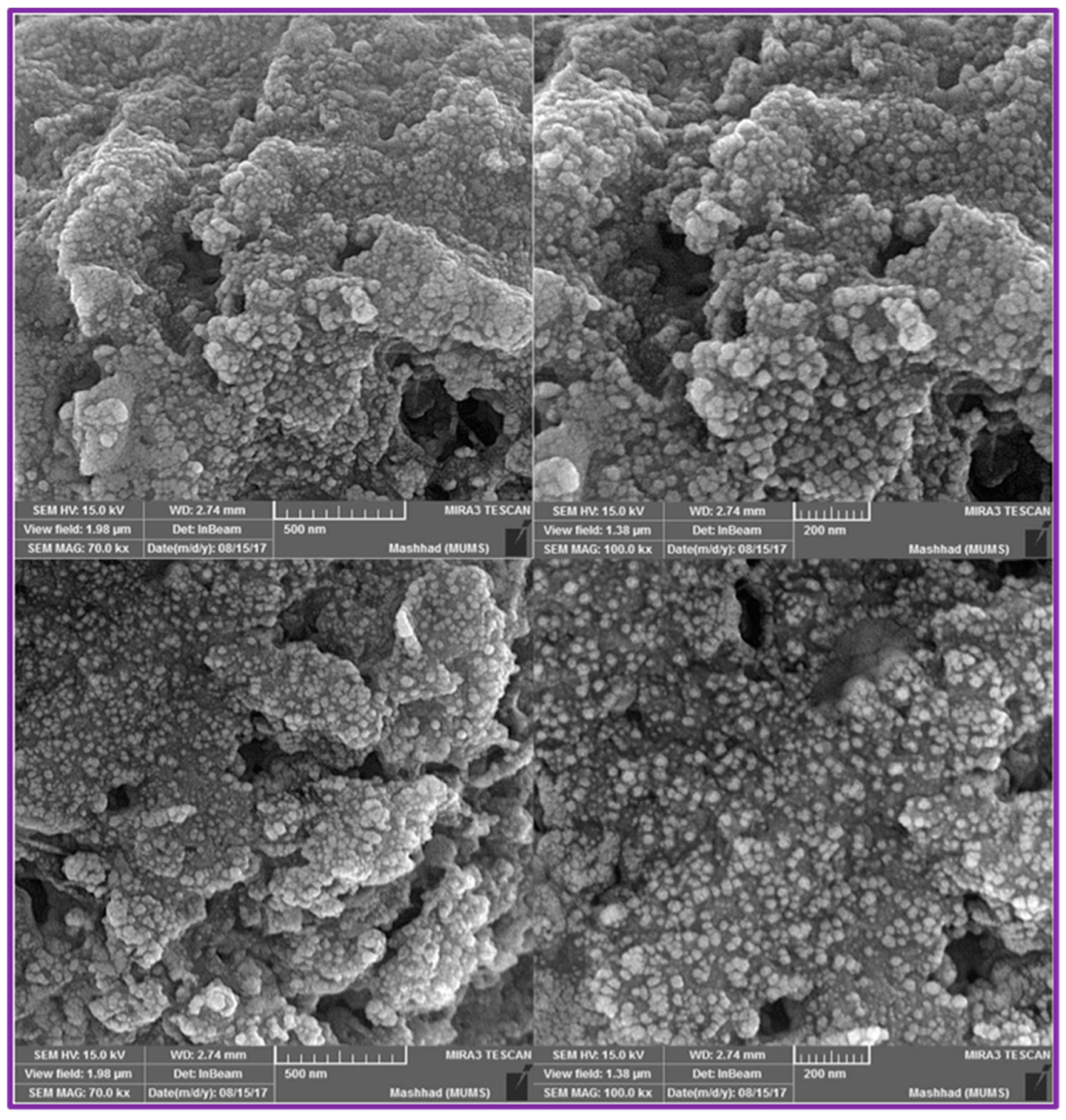 Catalysts 13 00537 g001 Catalysts 13 00537 g001