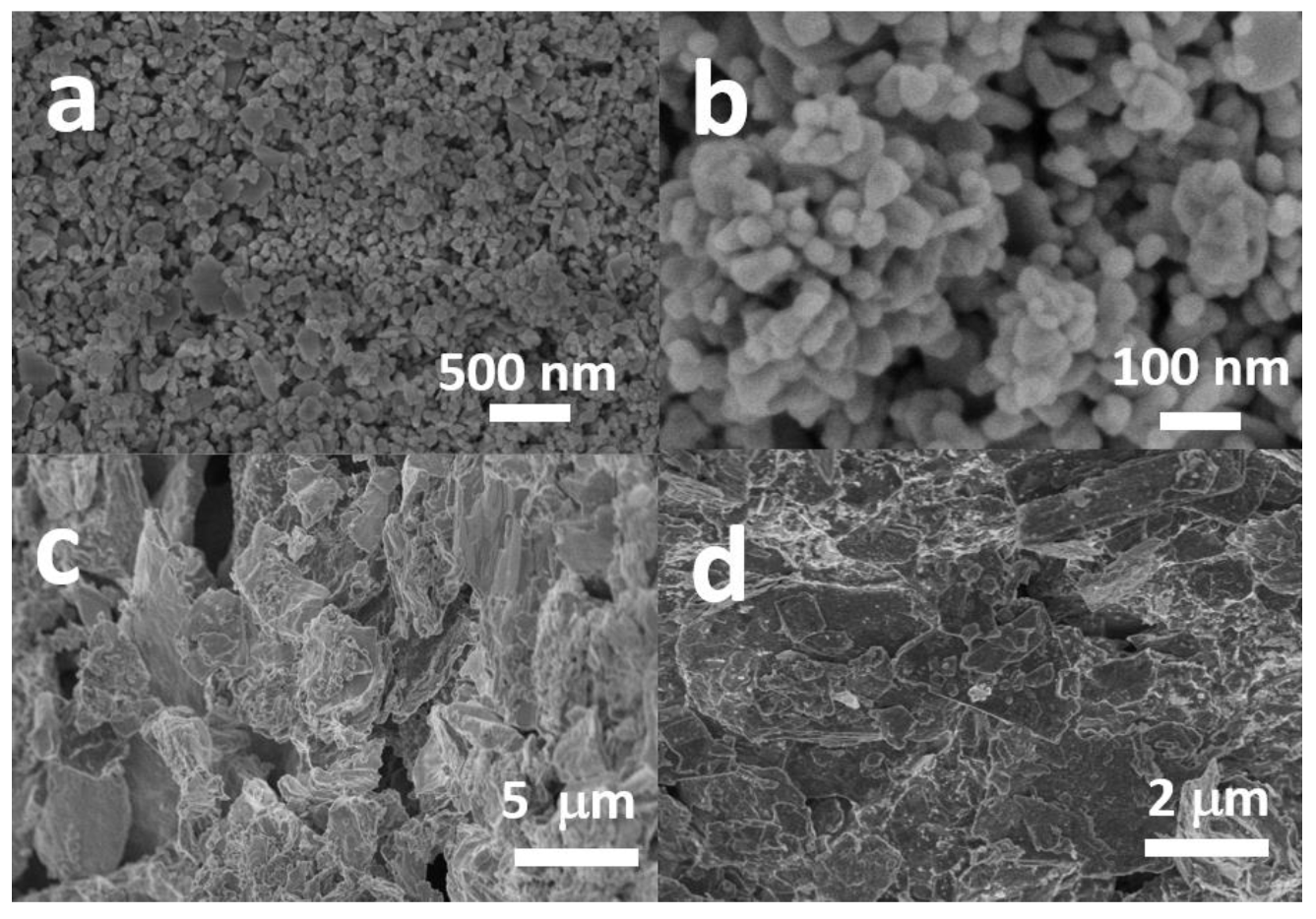 Catalysts 13 00538 g001