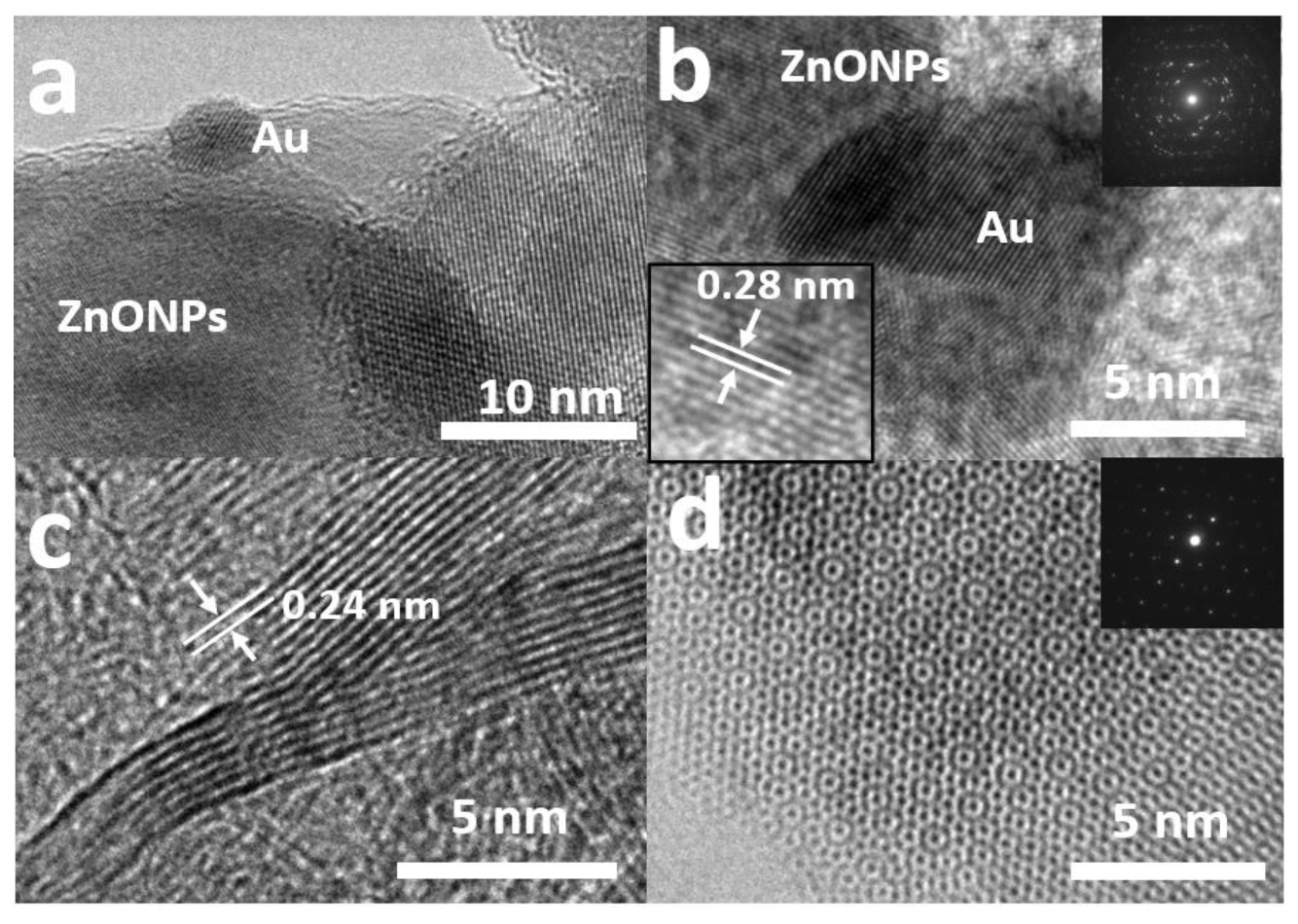 Catalysts 13 00538 g002