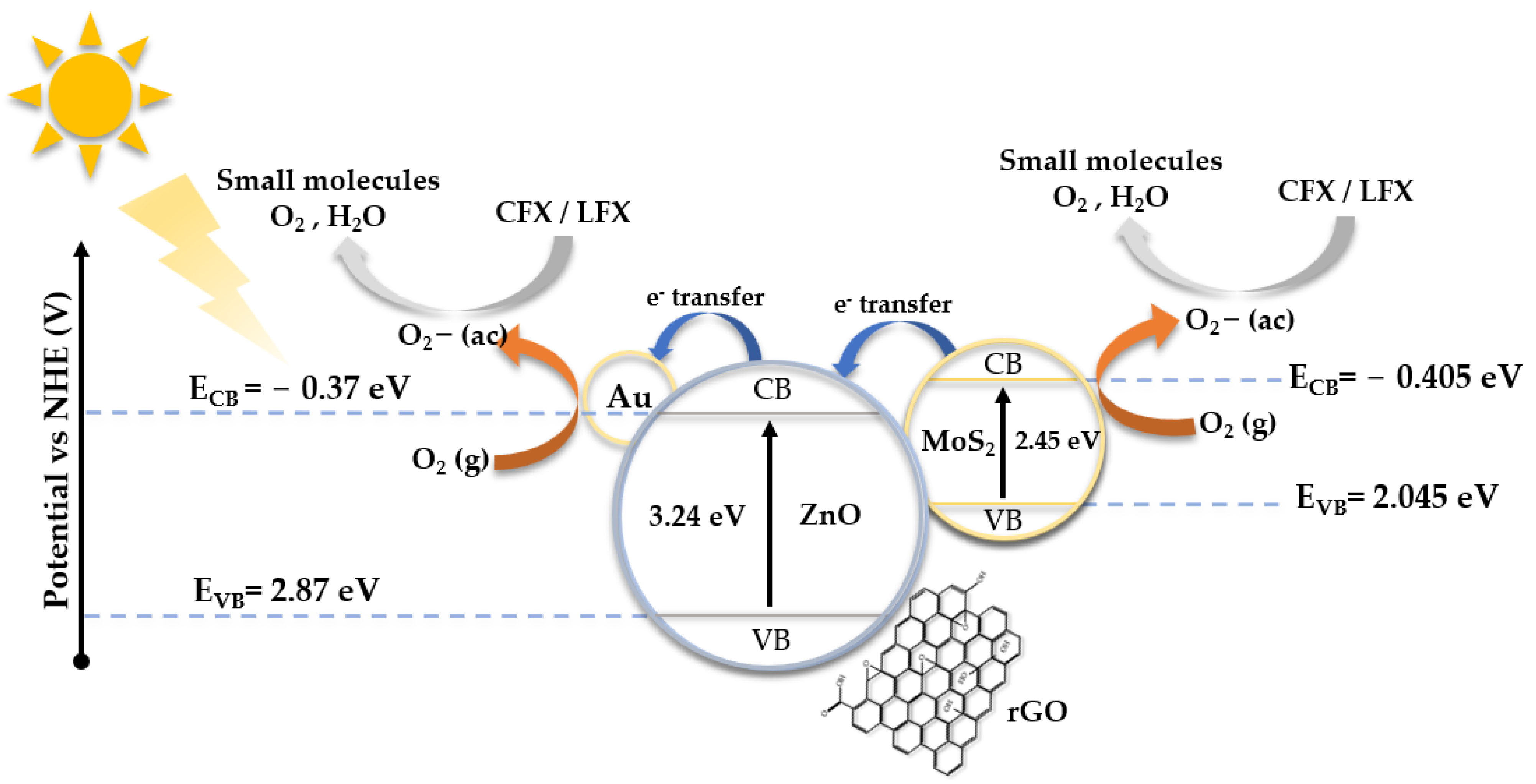 Catalysts 13 00538 g009