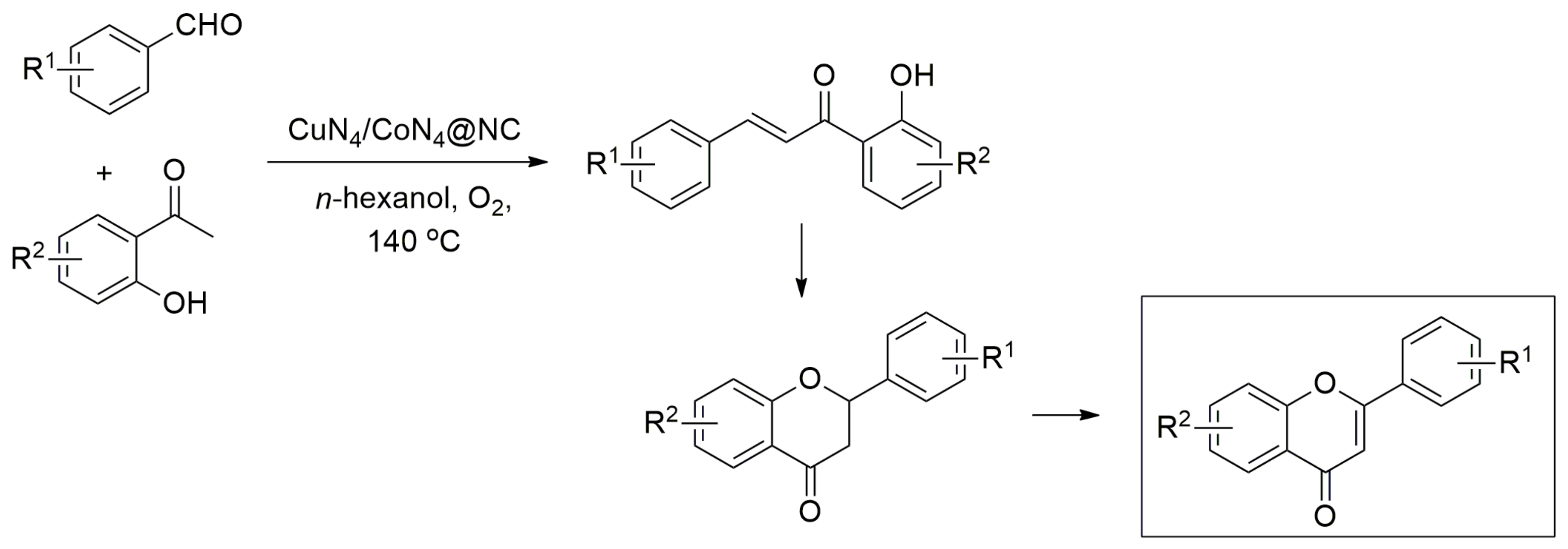 Catalysts 13 00541 sch019 Catalysts 13 00541 sch019