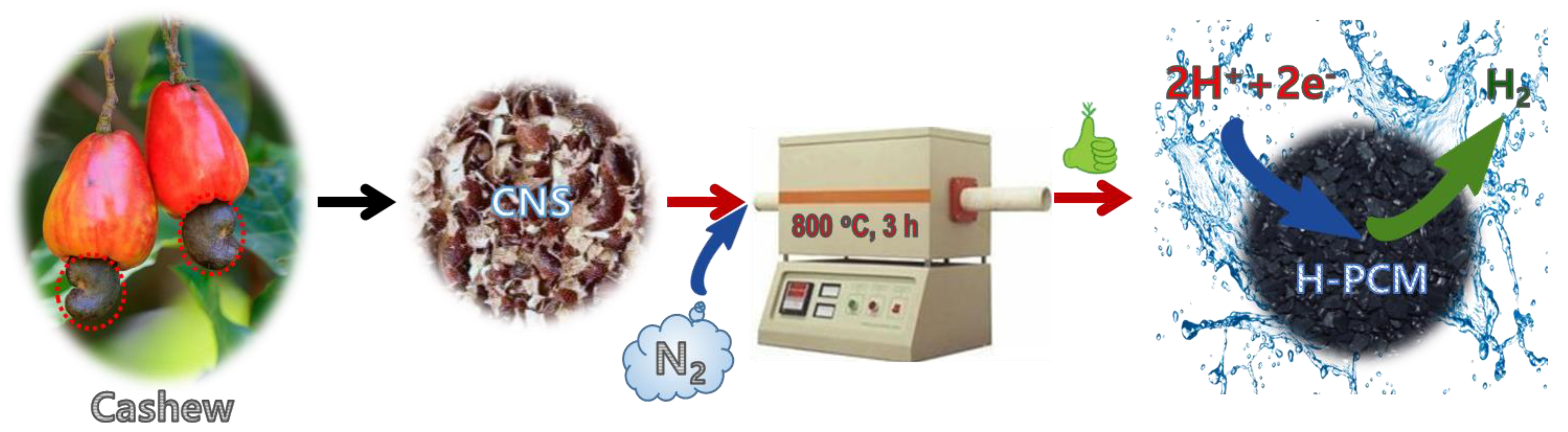 Catalysts 13 00542 sch001 Catalysts 13 00542 sch001