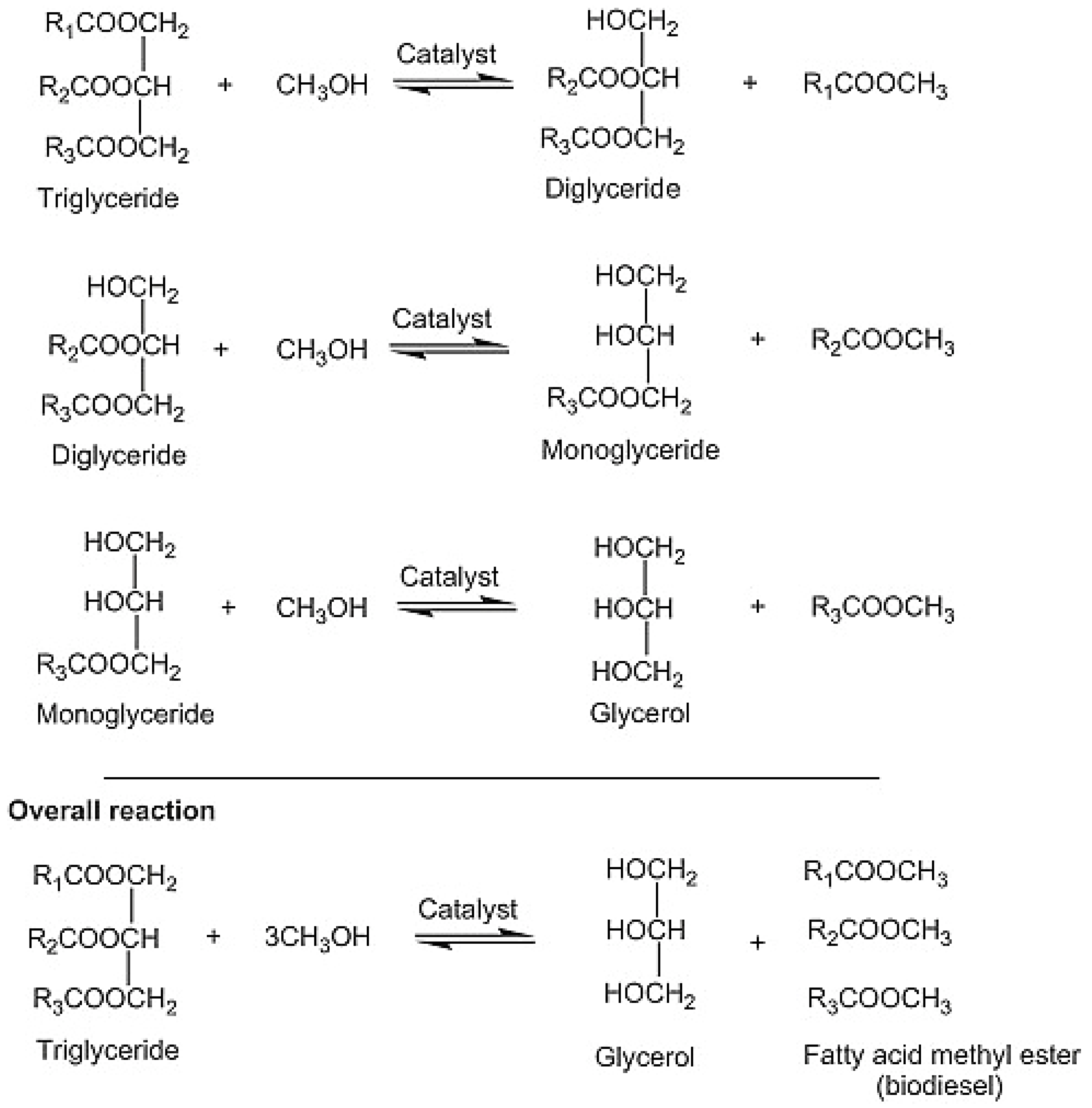 Catalysts Free FullText Biodiesel Production through the