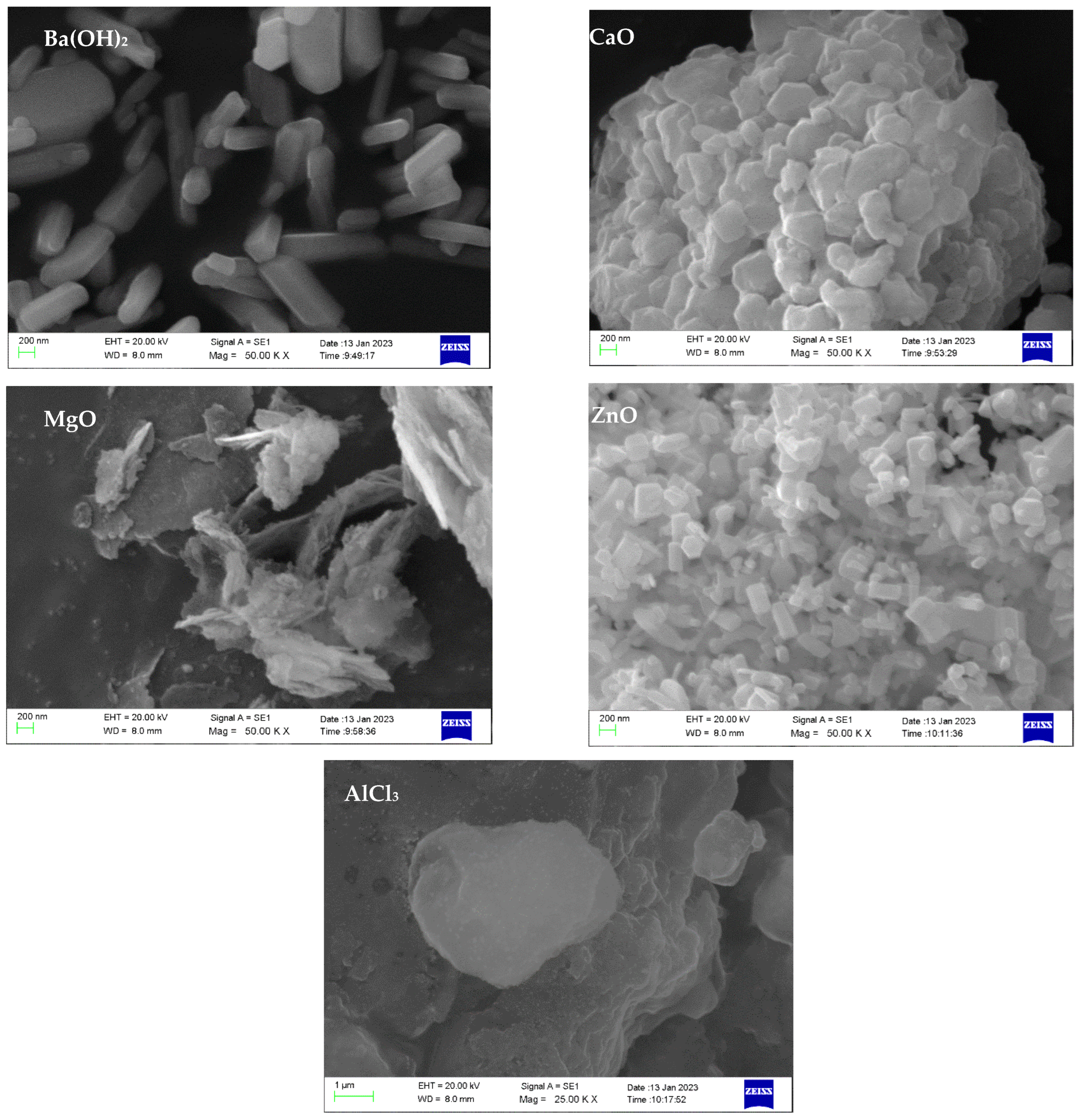 Catalysts 13 00546 g010
